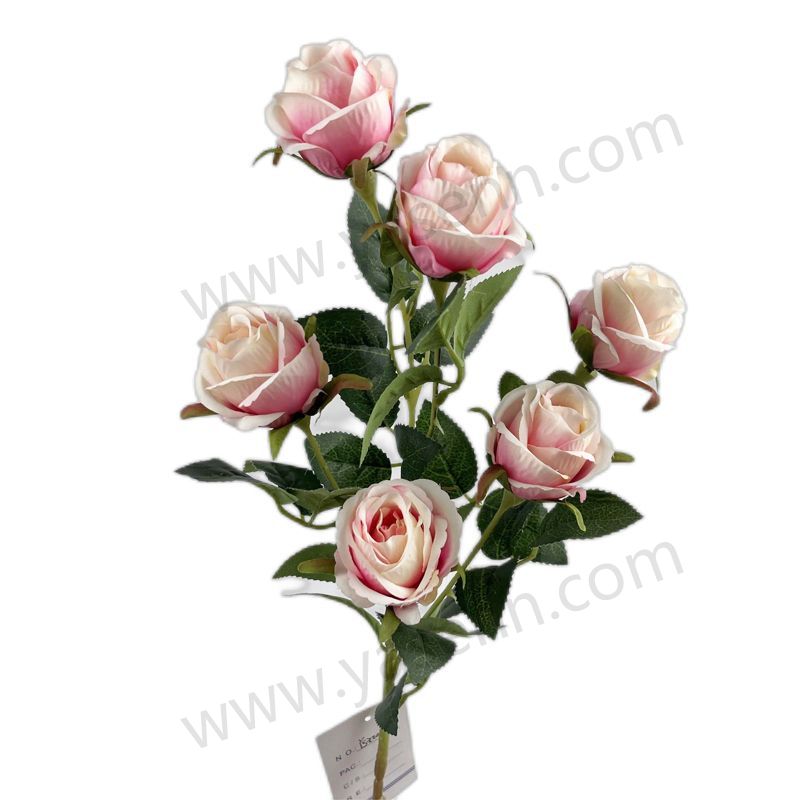 66CM rose  YSZ20038 