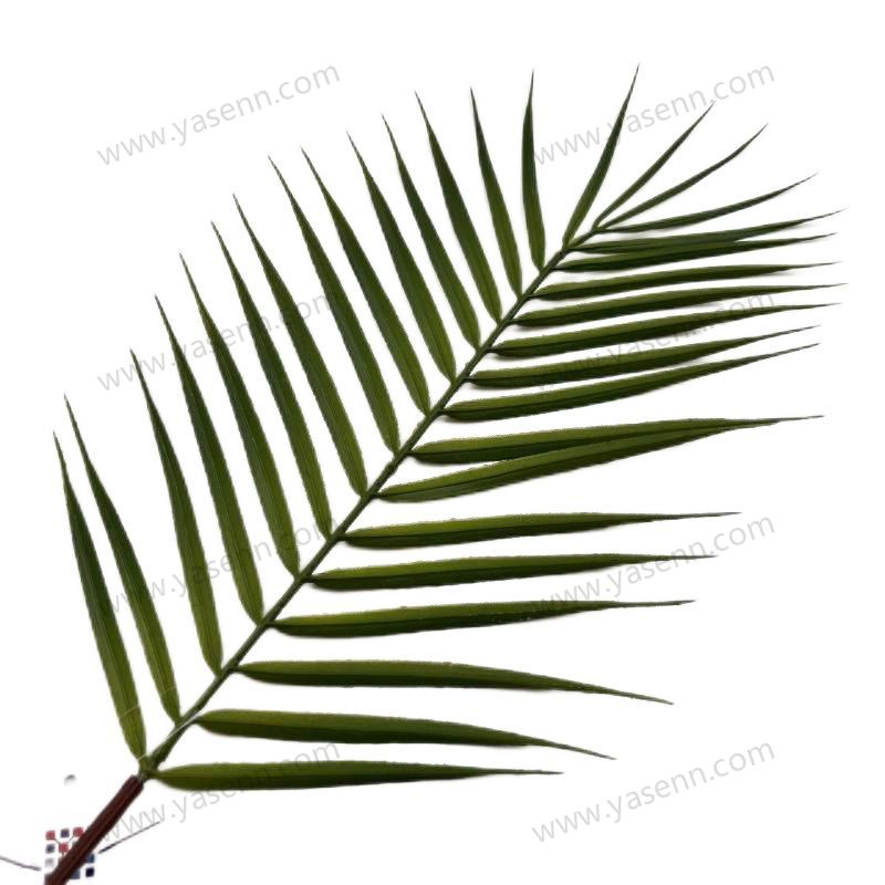 72.5CM SINGLE IRON TREE LEAVES Artificial leaves YSL20060