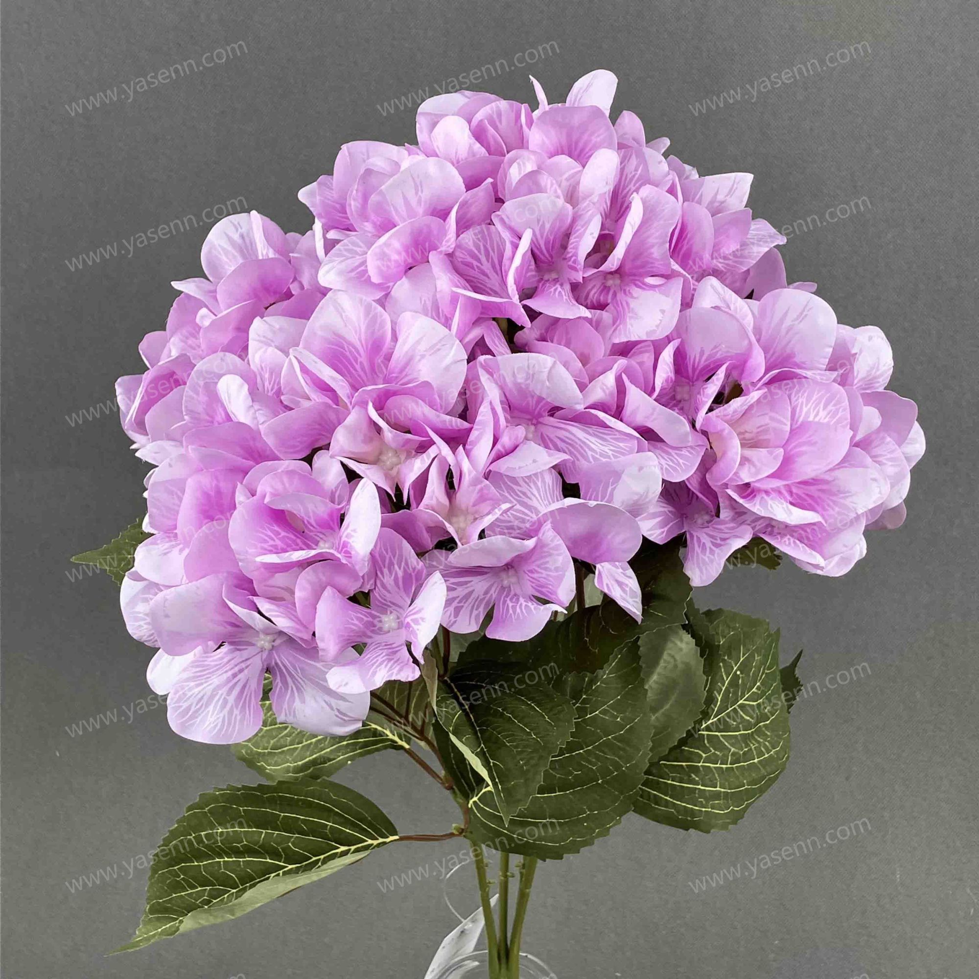 49CM   5 HYDRANGEA YSB24032