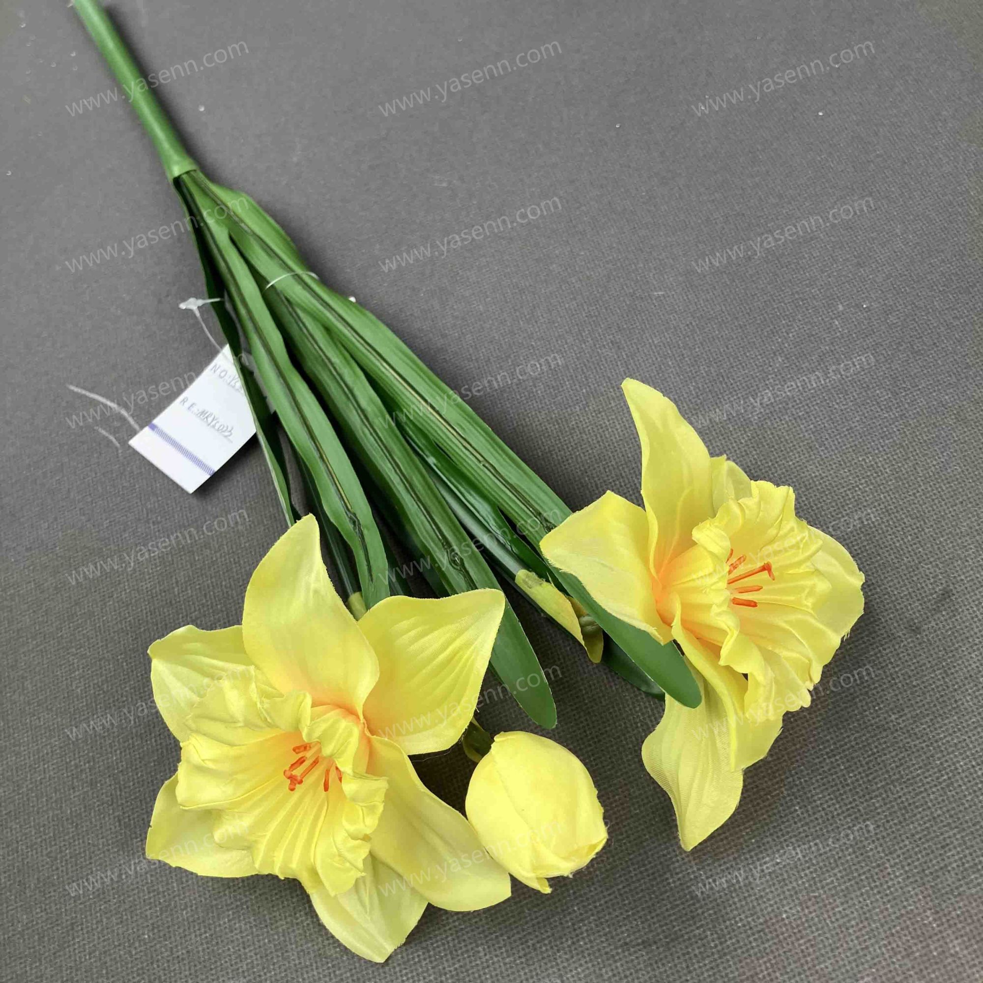 50CM 3 DAFFODIL YSZ22198