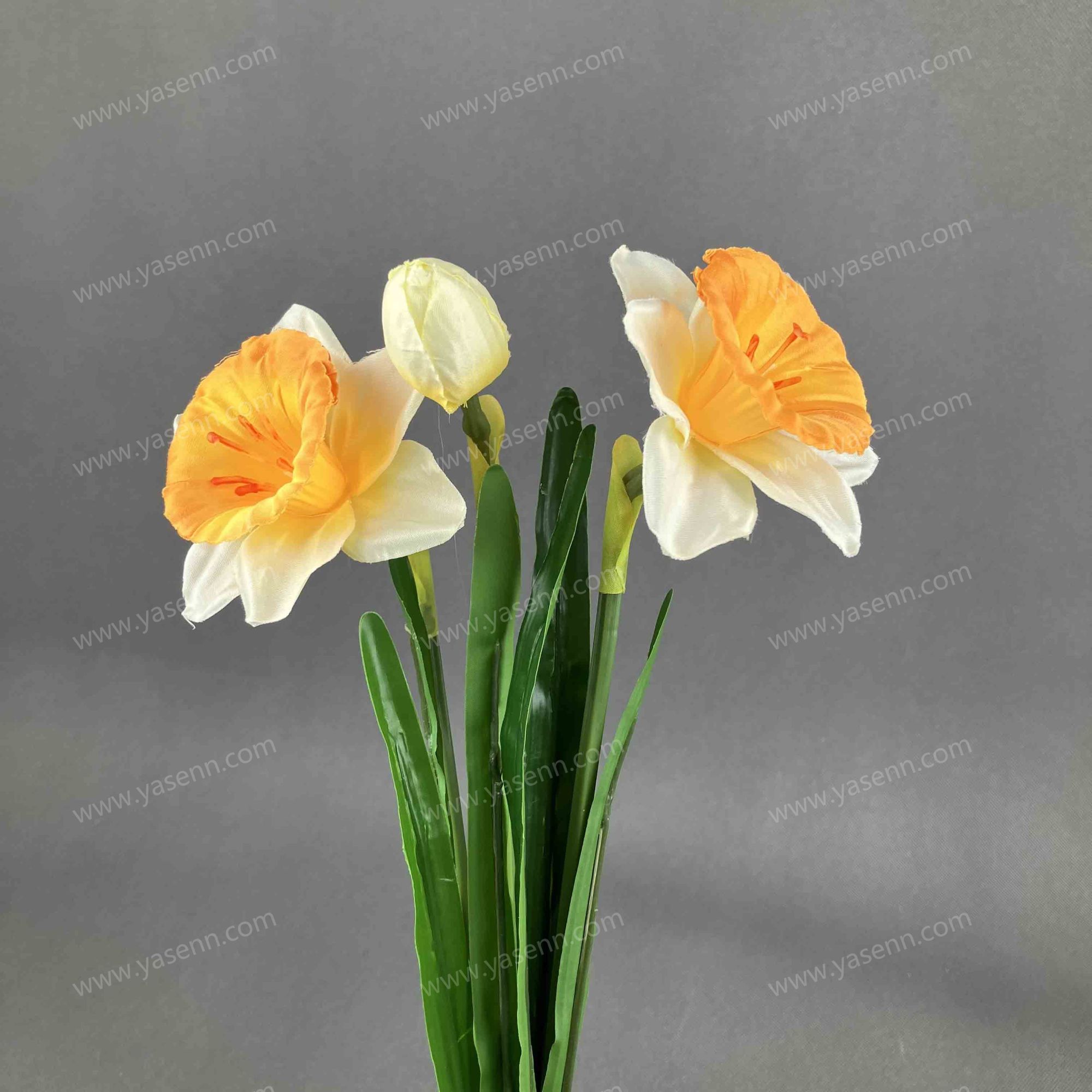 48CM 3 DAFFODIL YSZ22200