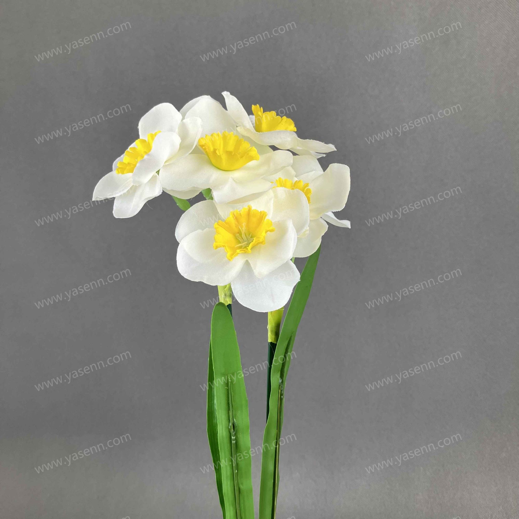 50CM 2 DAFFODIL YSZ22202