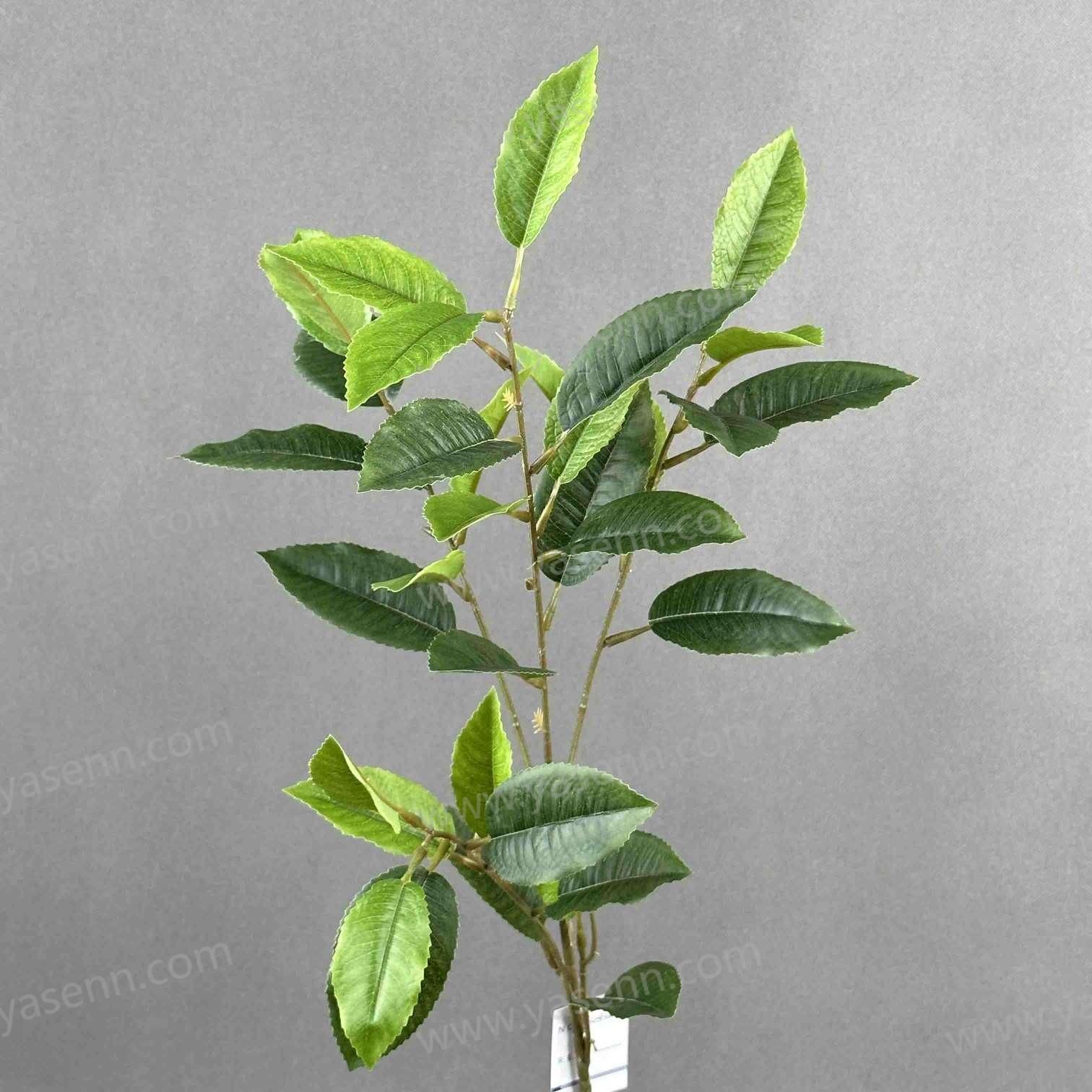 75CM SINGLE STEM OF HOLLY LEAVES YSL24022