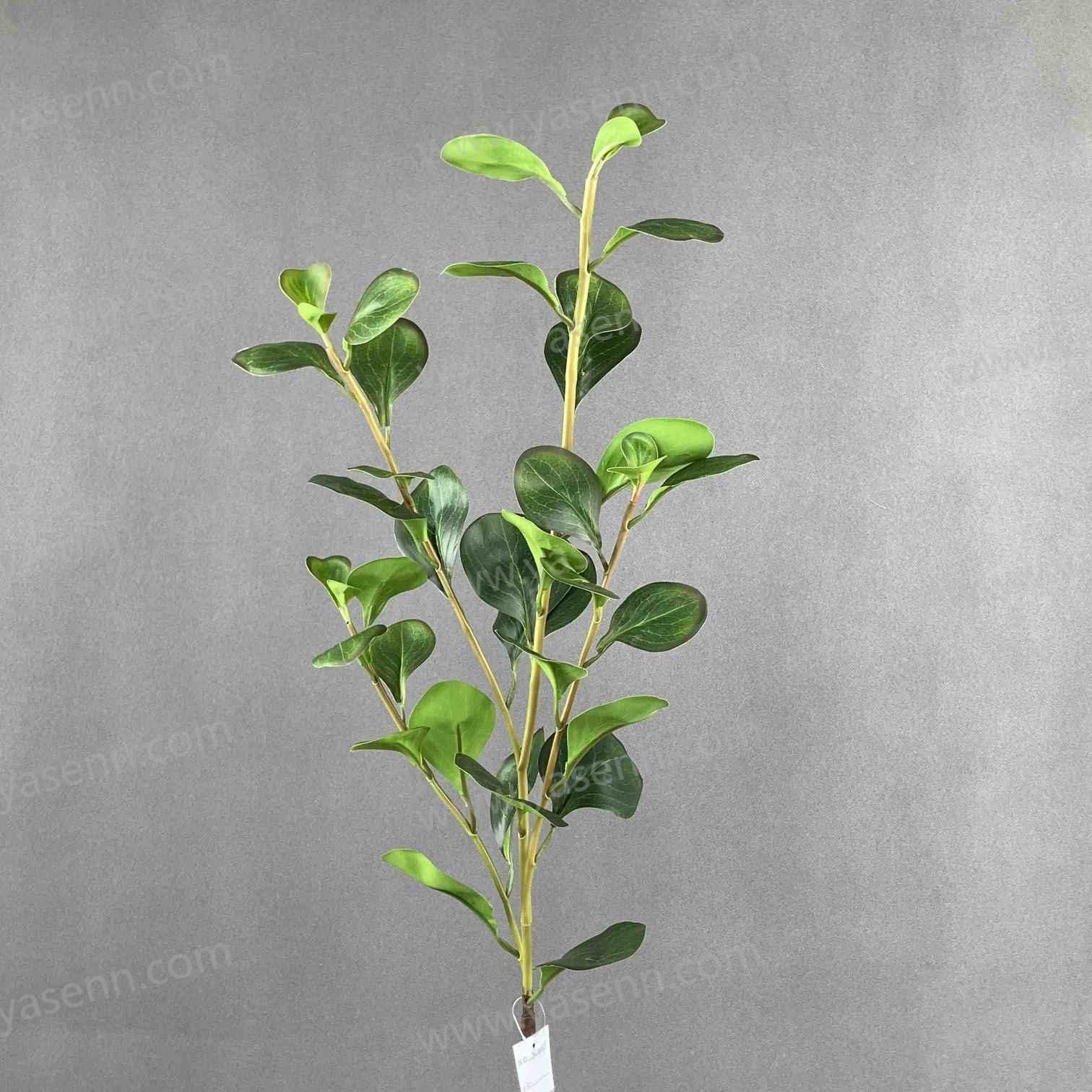 90CM SINGLE STEM OF BIG SOYBEAN LEAVES YSL24059