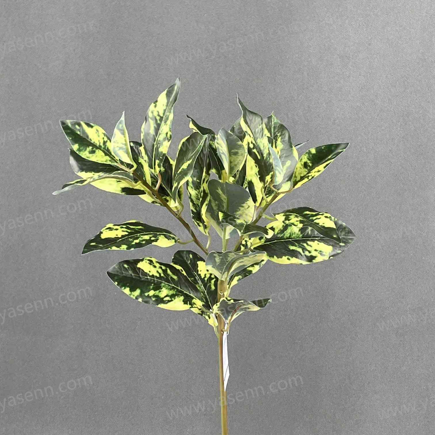 60CM SINGLE STEM OF SMALL BAY LEAVES YSL24062