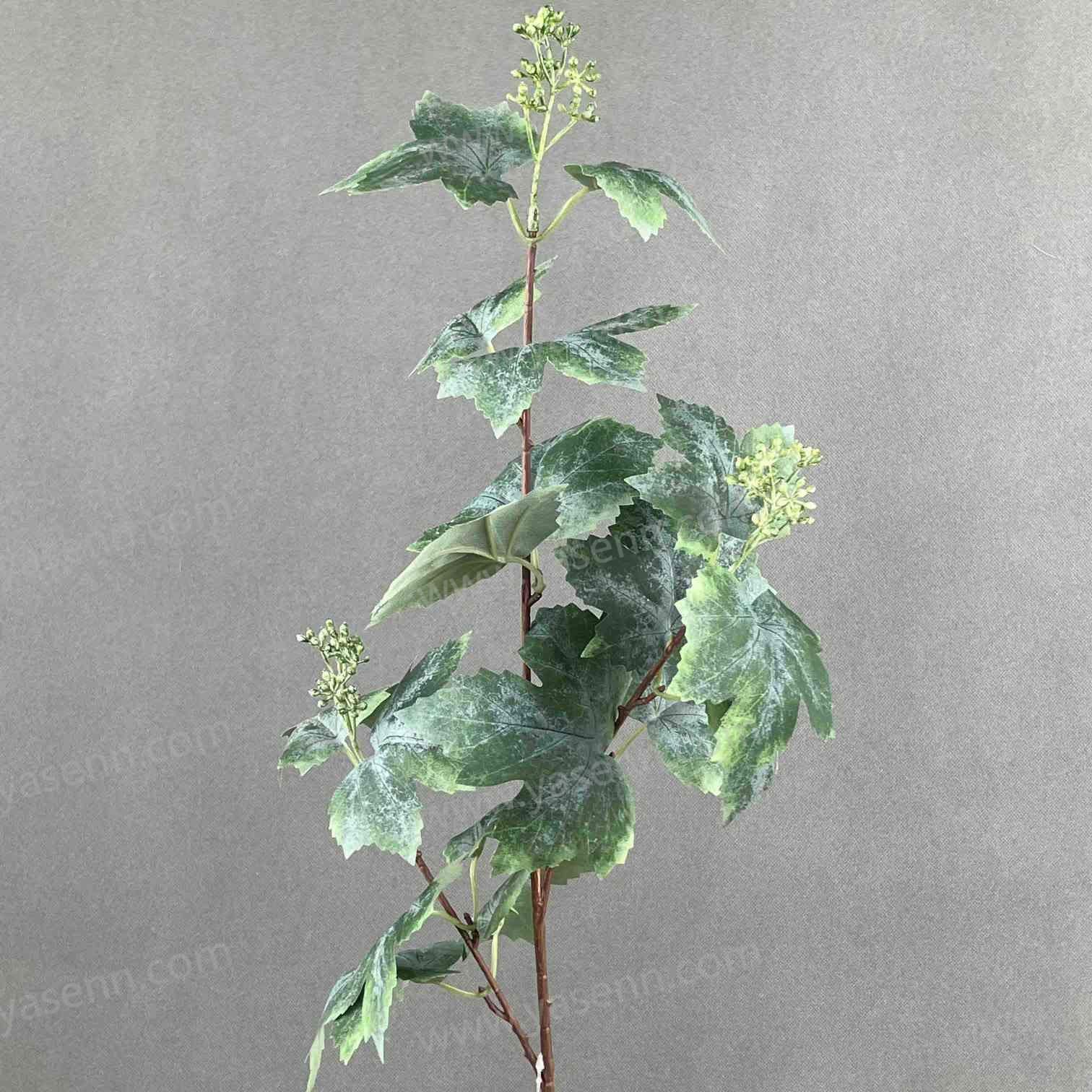 75CM SINGLE STEM OF GRAPE LEAVES YSL24064