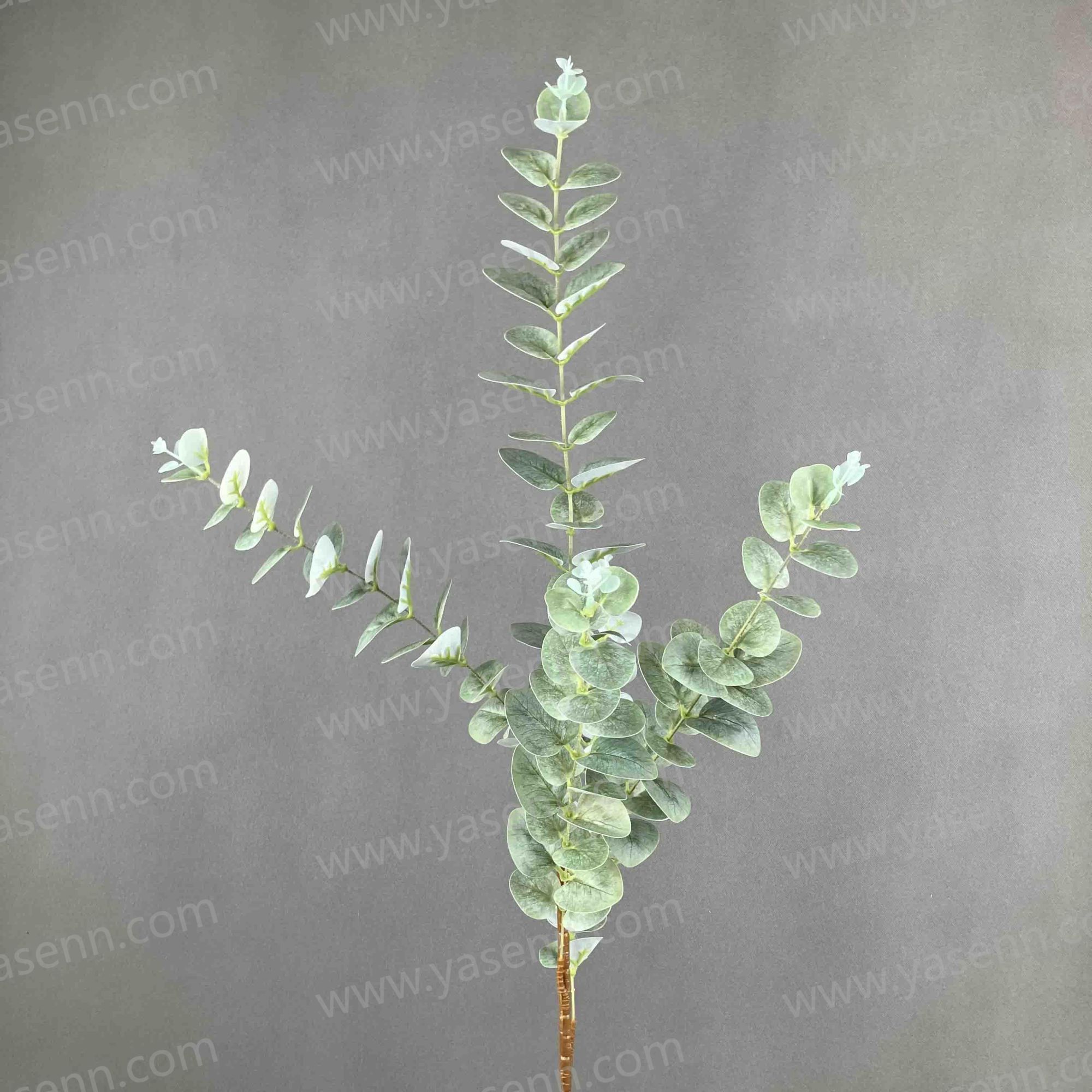 92CM SINGLE 5 BRANCHES EUCALYPTUS LEAF YSL24066