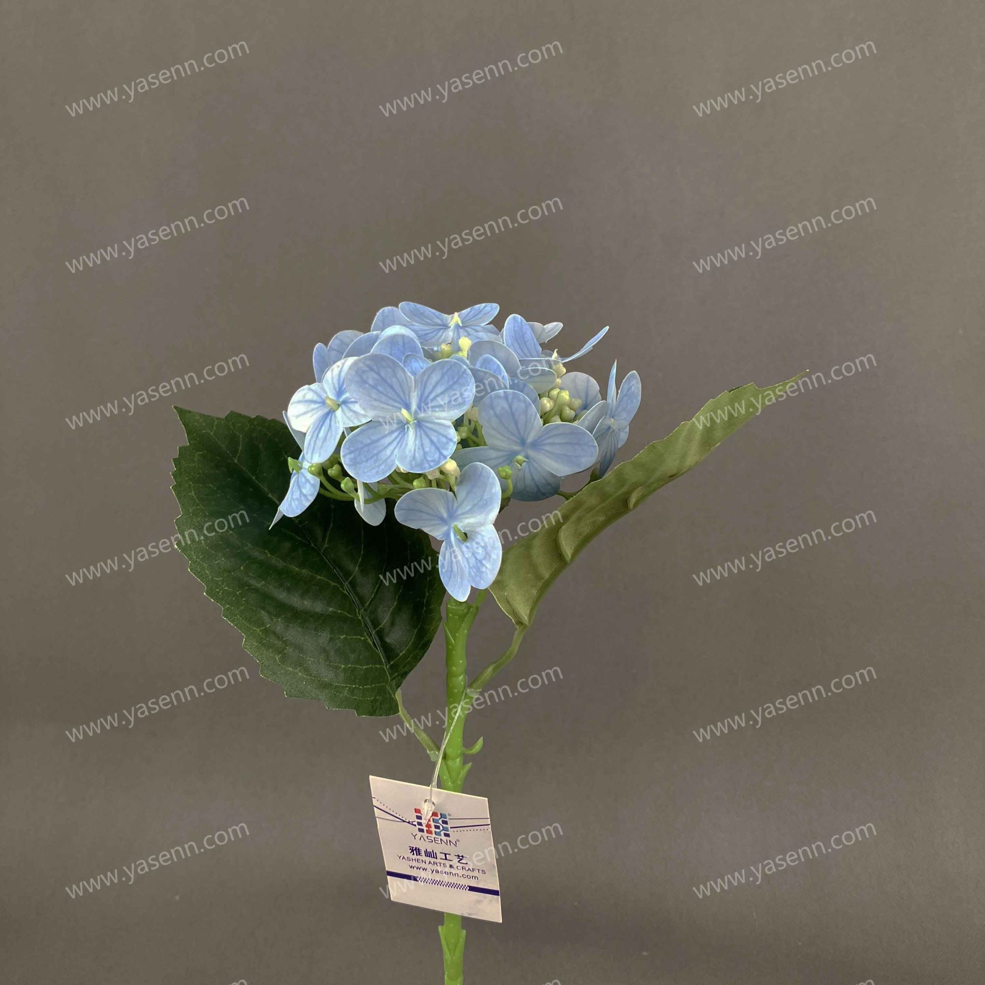 42CM SINGLE CMHYDRANGEA YSS24126