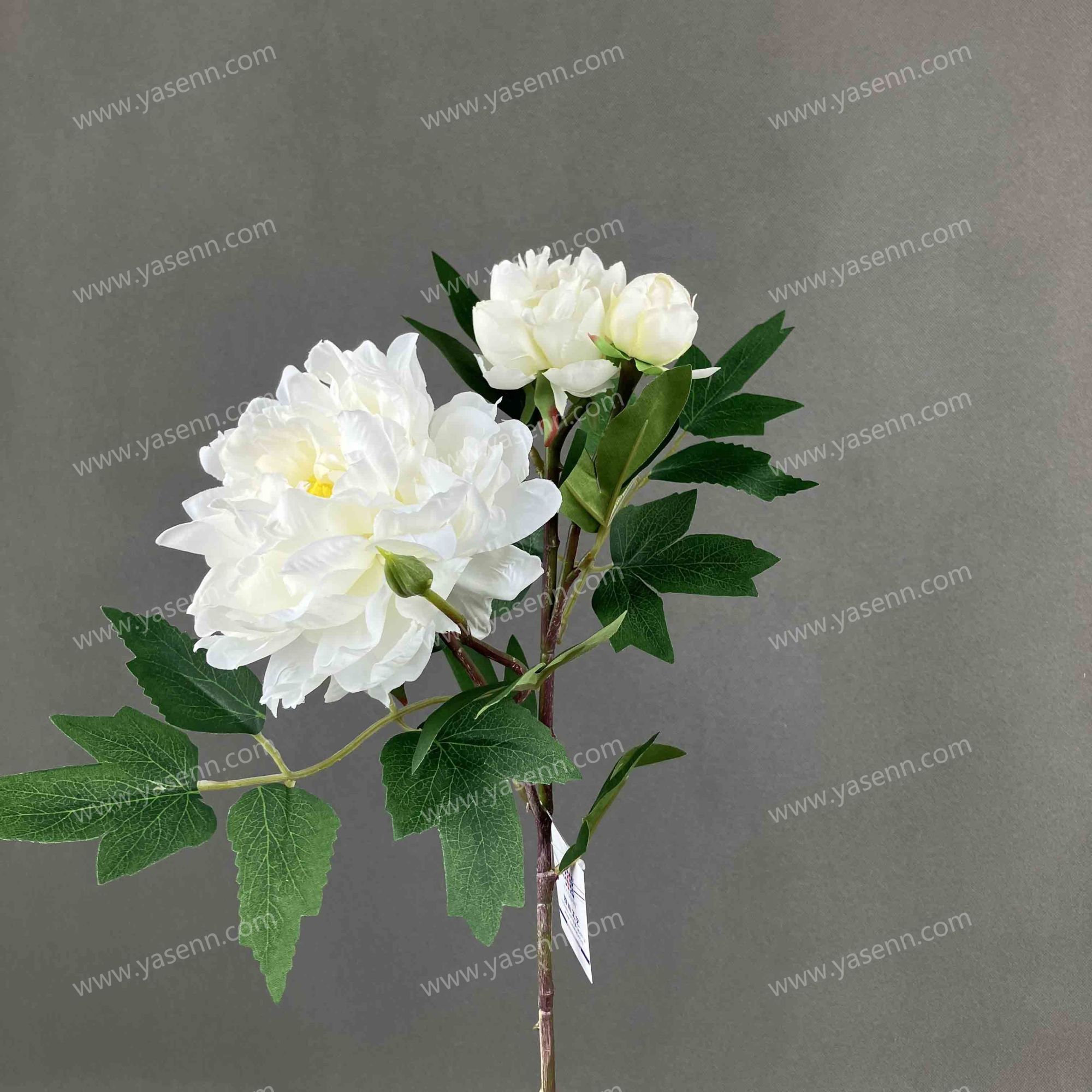 60CM SINGLE PEONY YSS24127