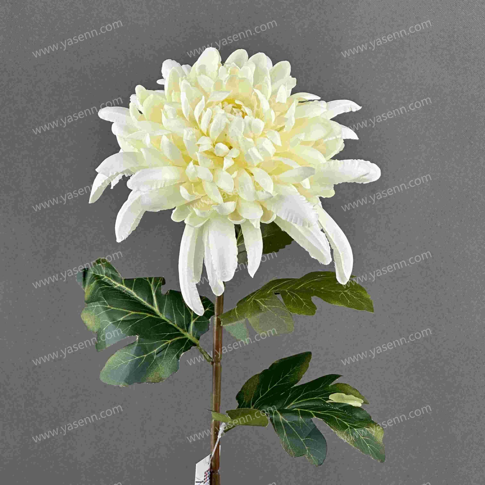 74CM CHRYSANTHEMUM YSS24007