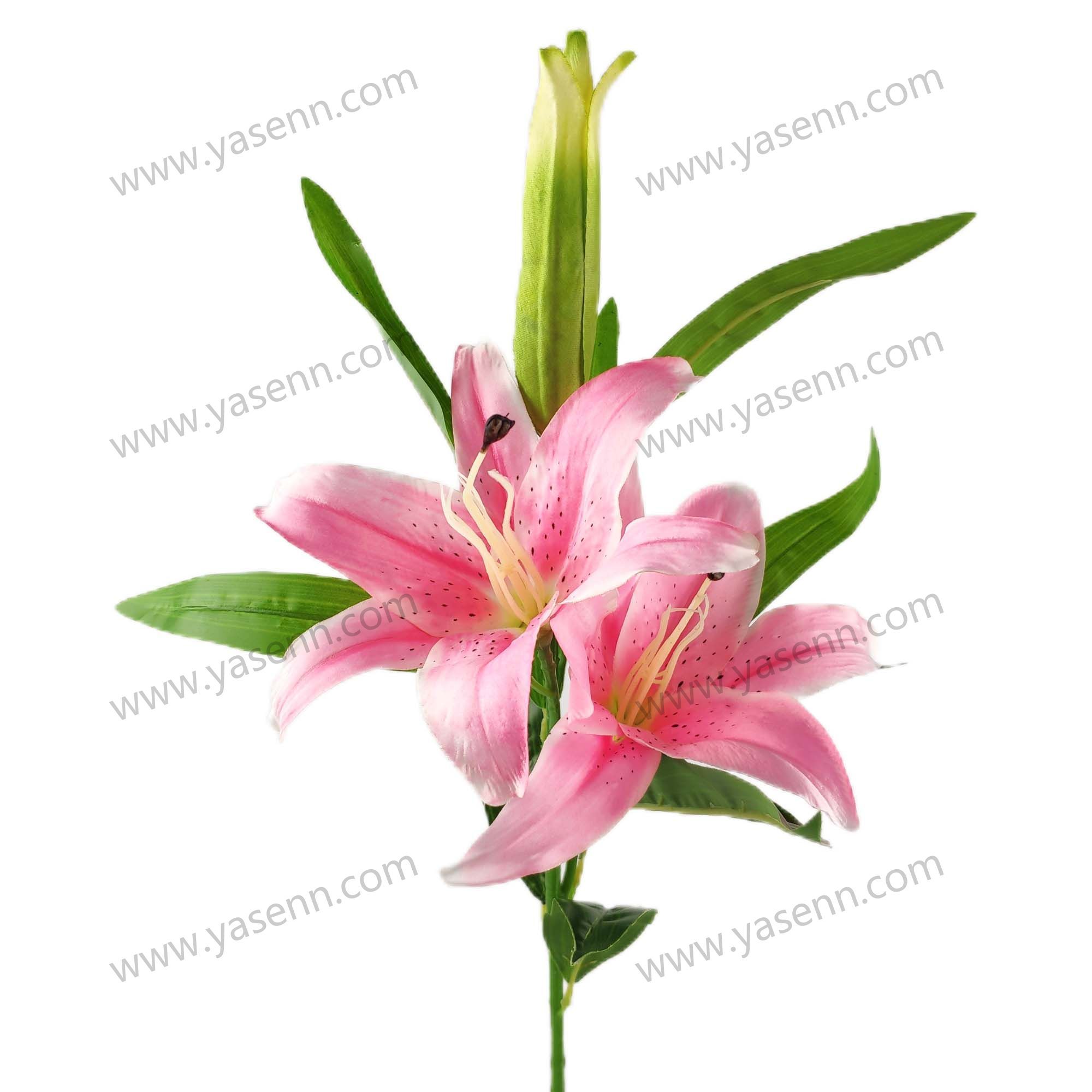 97CM SINGLE LILY YSZ221012