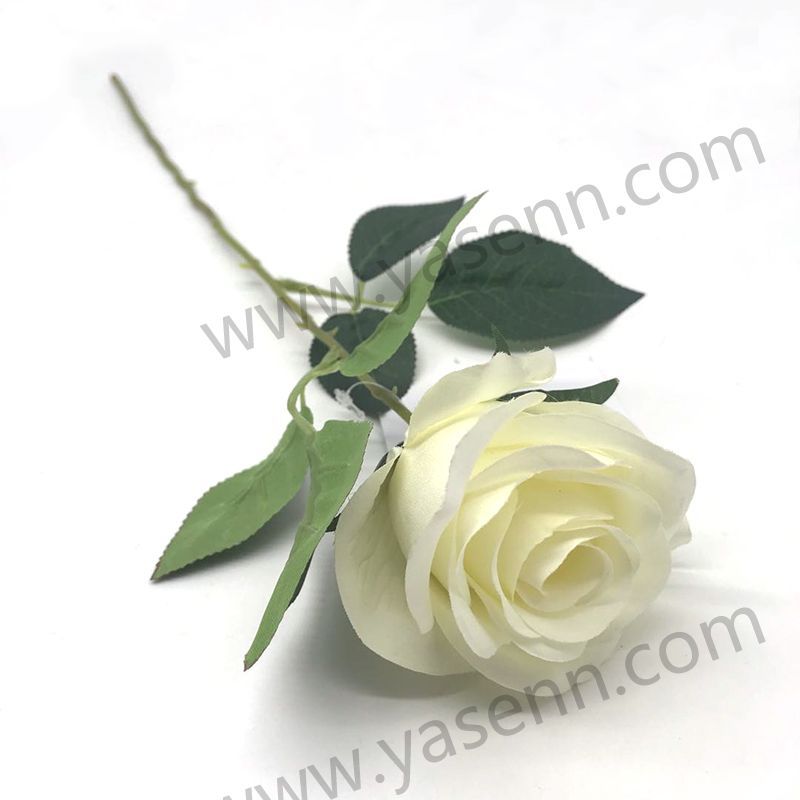 55.5CM SINGLE ROSE YSZ19245