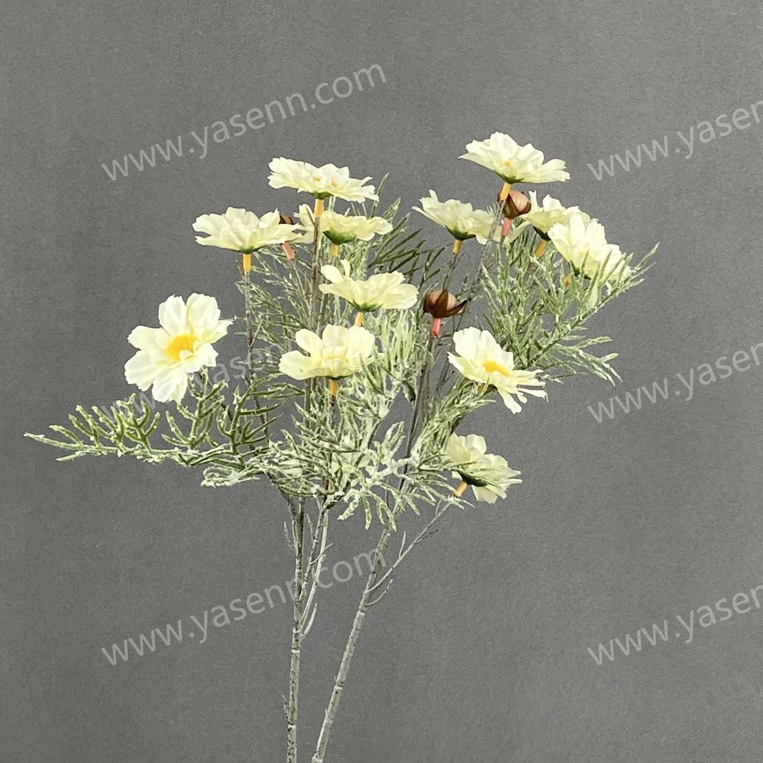 70CM CHRYSANTHEMUM YSS24119