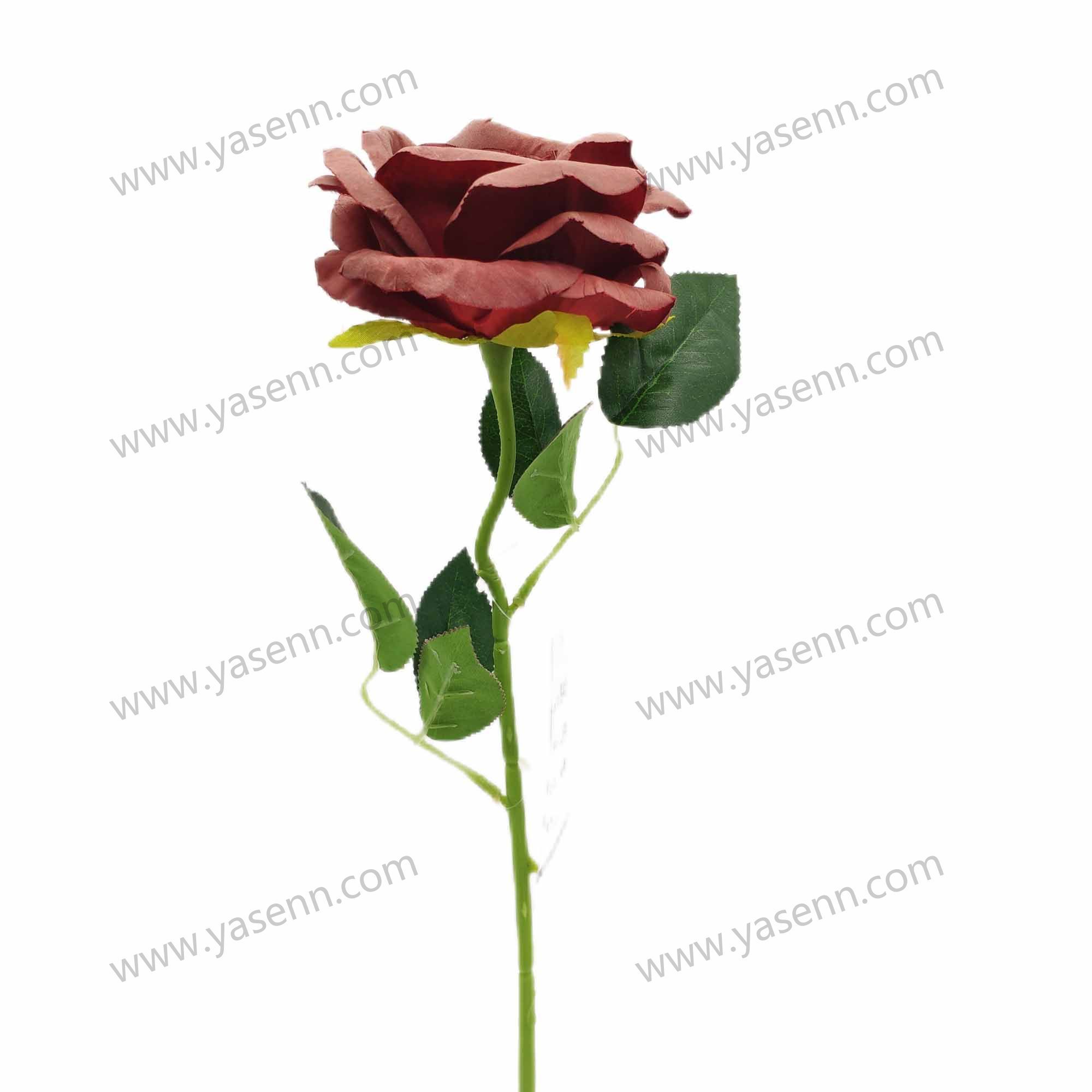 51CM ROSE YSZ21153A