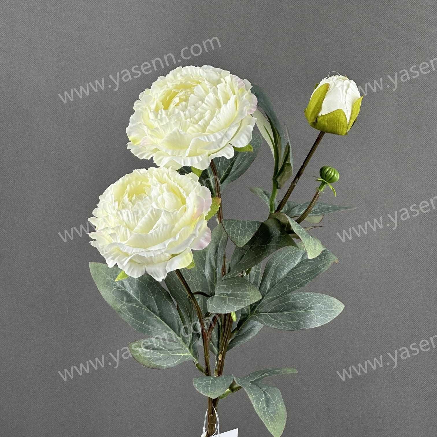 70 SINGLE BRANCH PEONY YSS24010