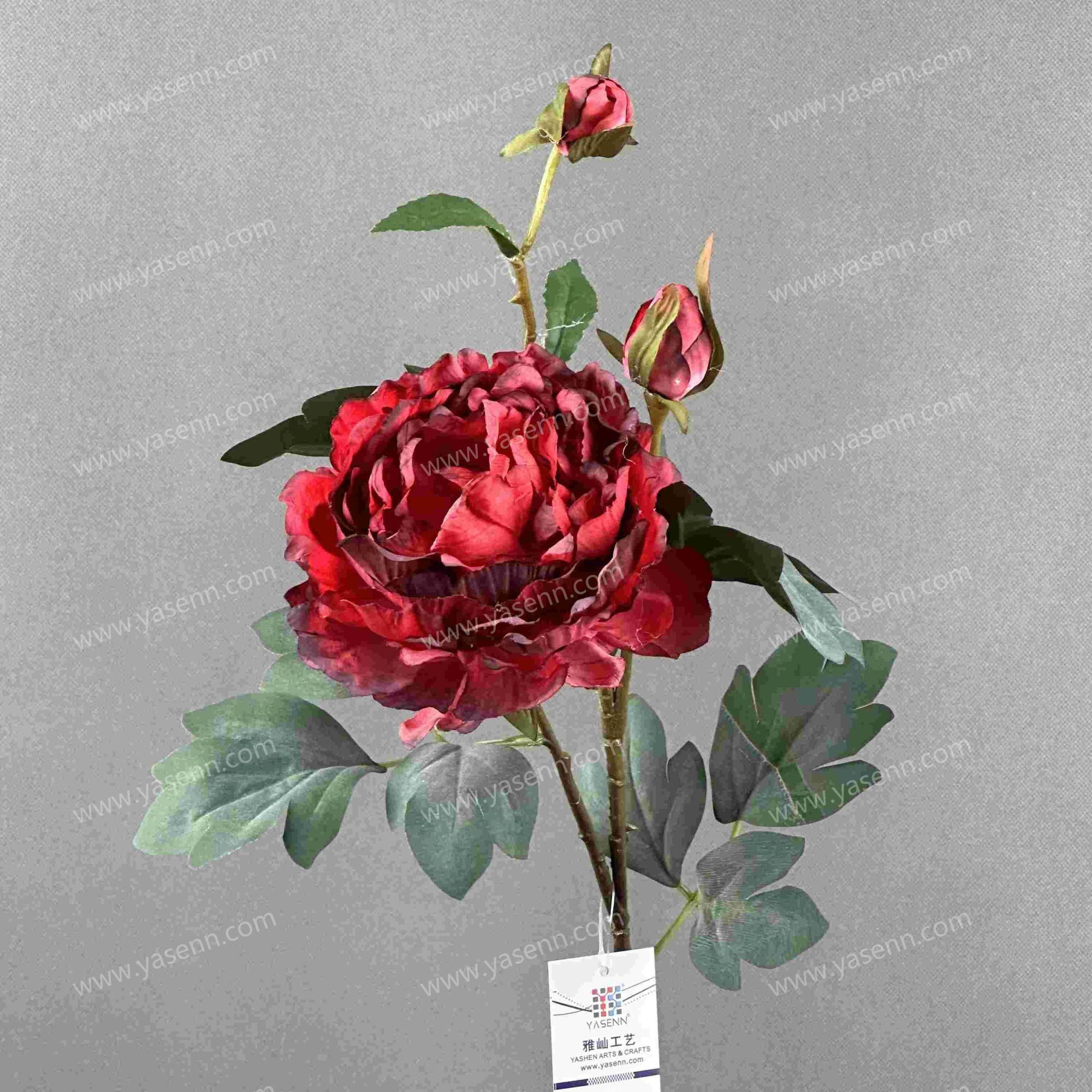 70CM SINGLE BRANCH PEONY YSS24012