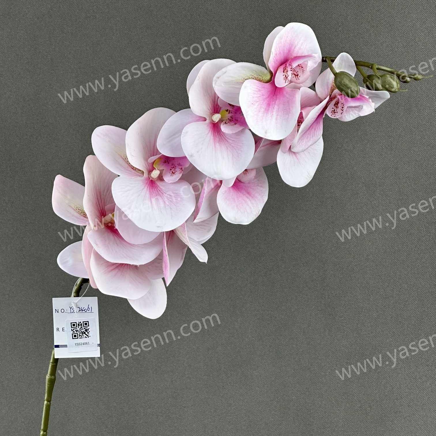 95CM PHALAENOPSIS YSS24061