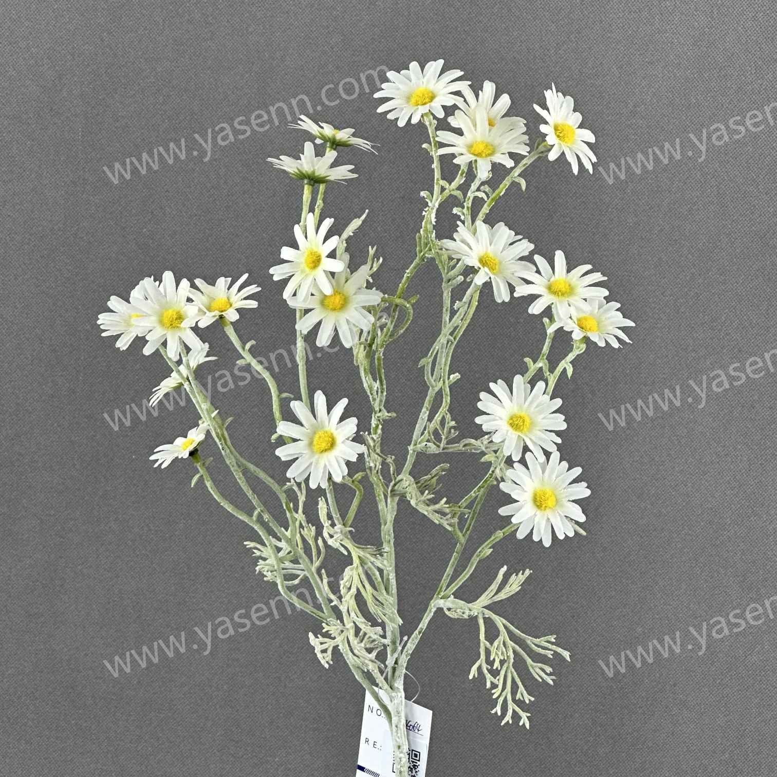 72CM CHRYSANTHEMUM YSS24064