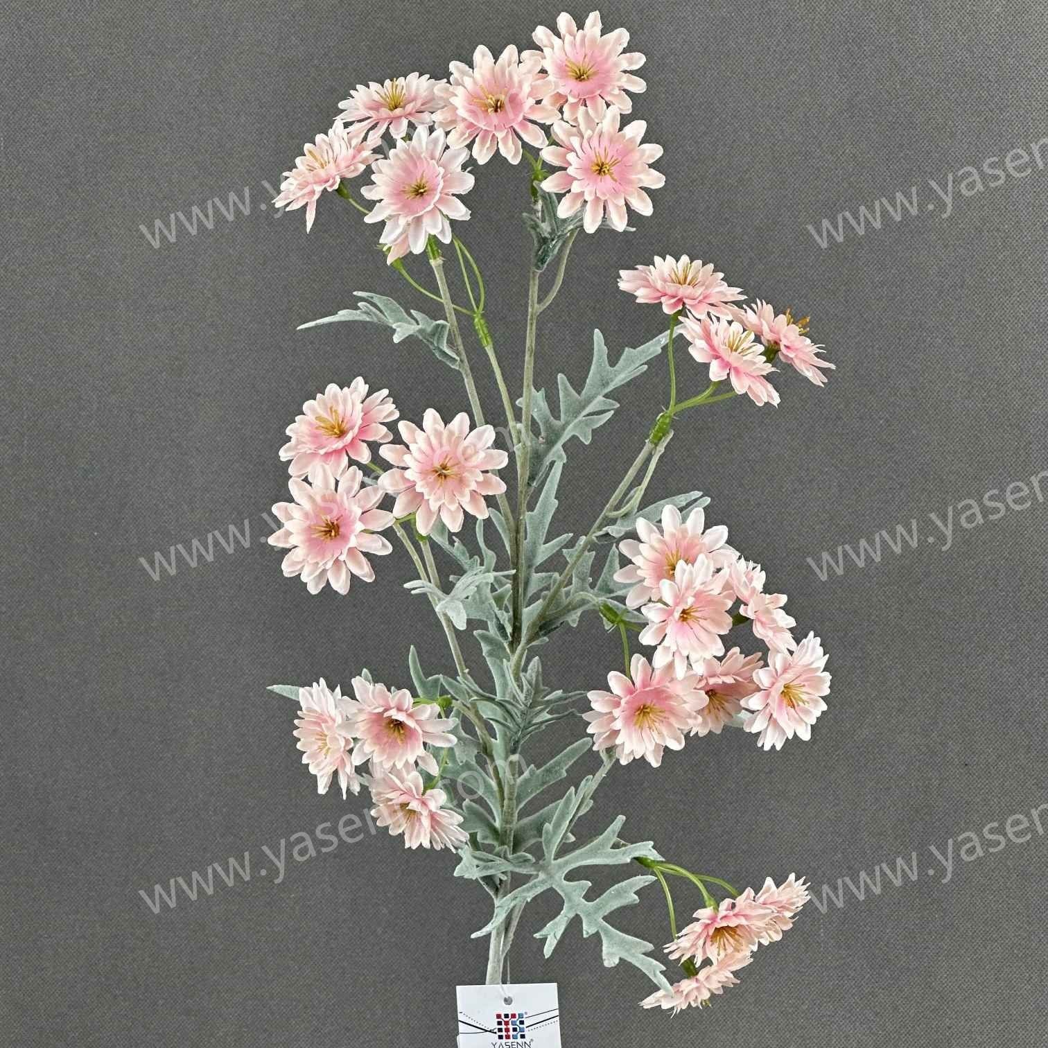 70CM CHRYSANTHEMUM YSS24065