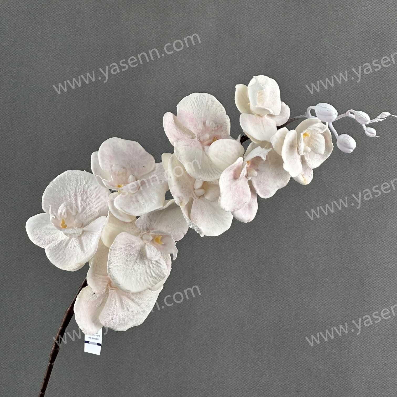 95CM PHALAENOPSIS YSS24067