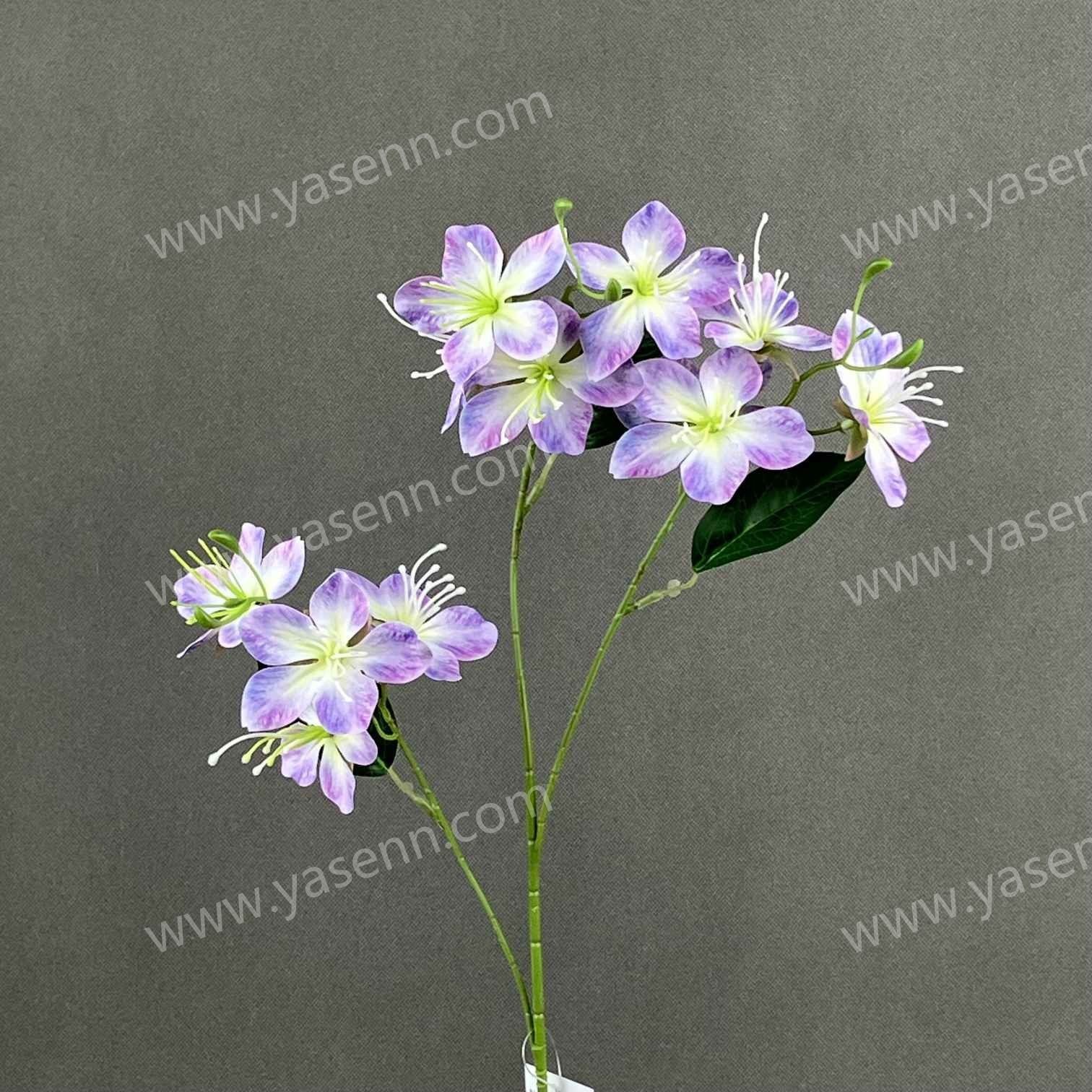 70CM JASMINE YSS24079