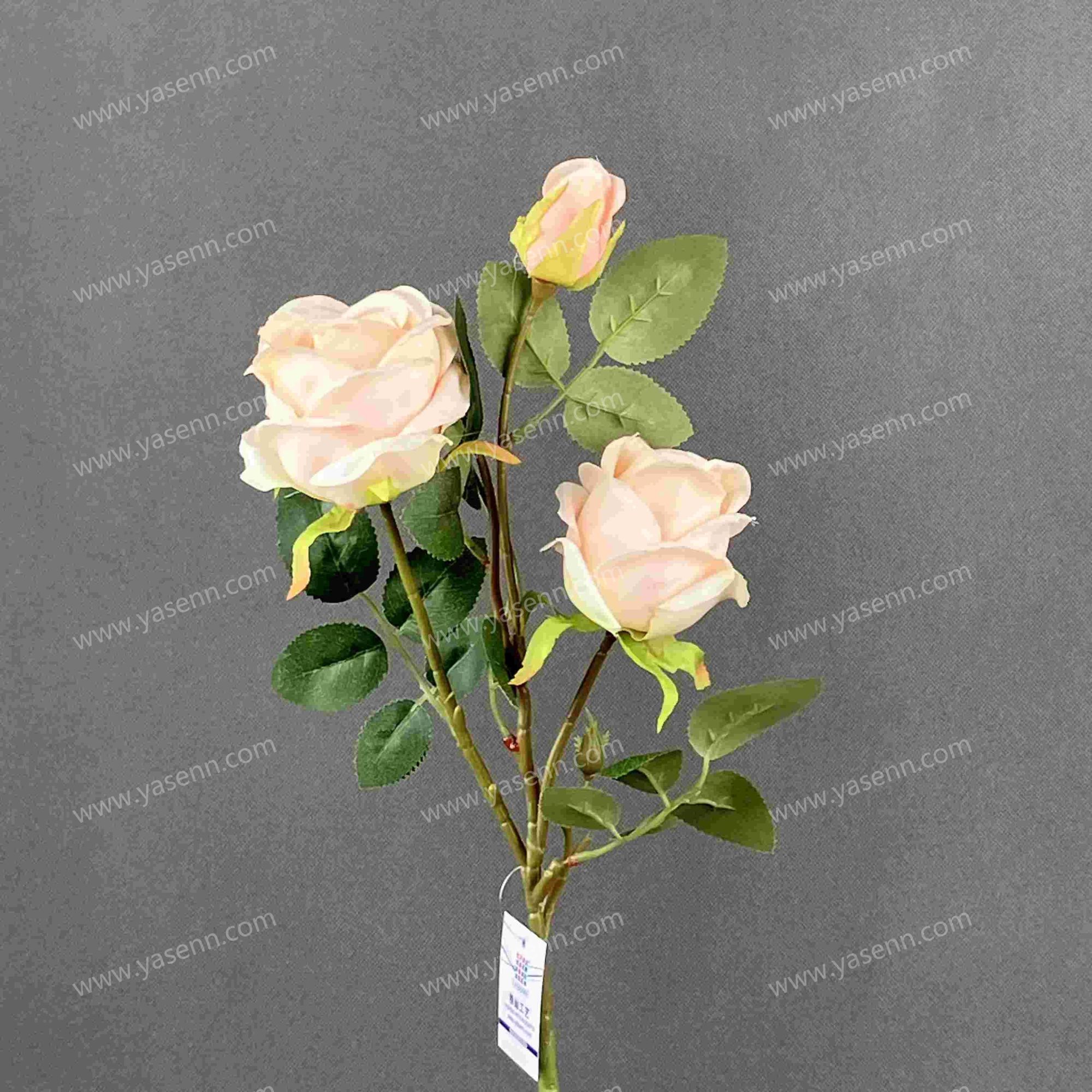 70CM ROSE YSS24087