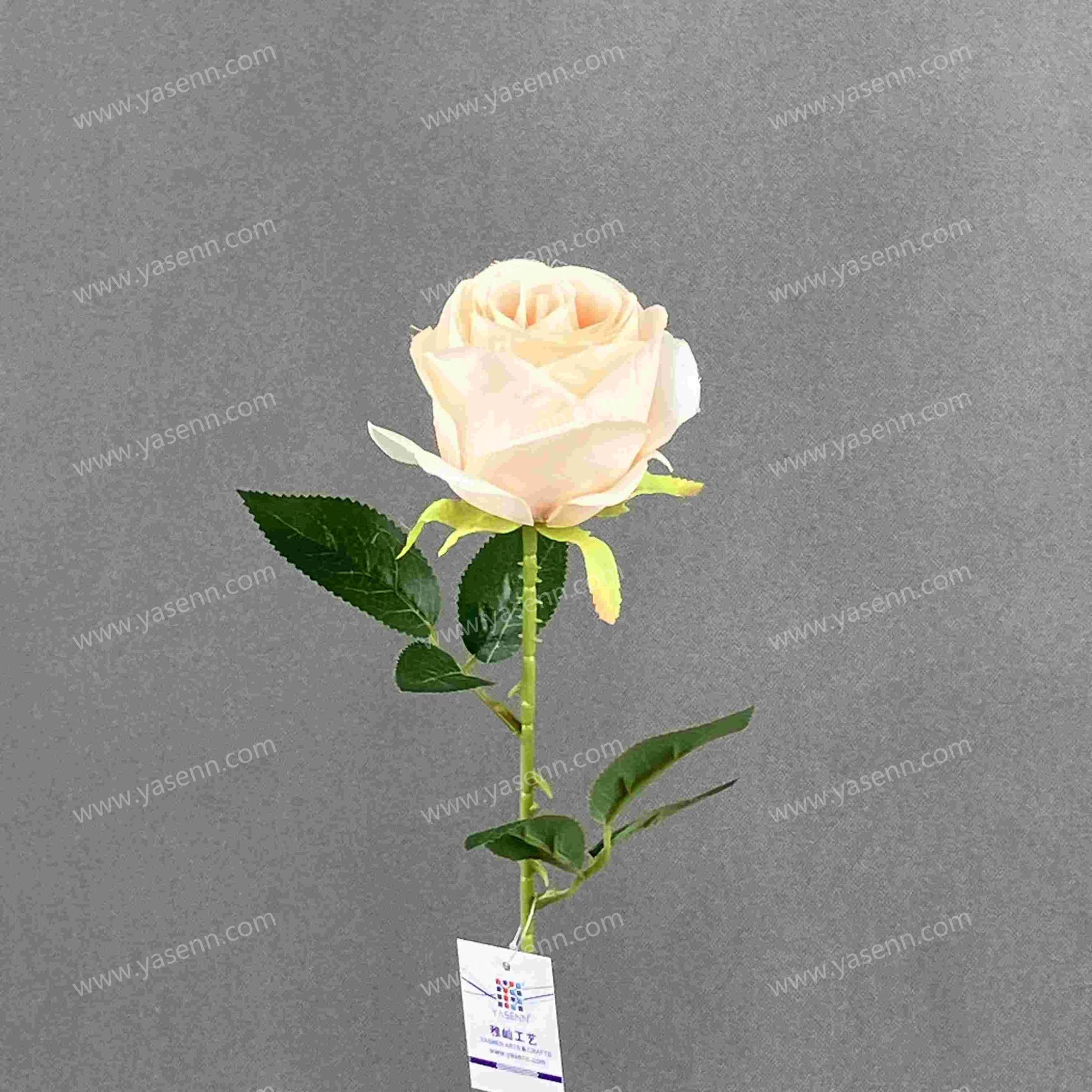 54CM ROSE YSS24090