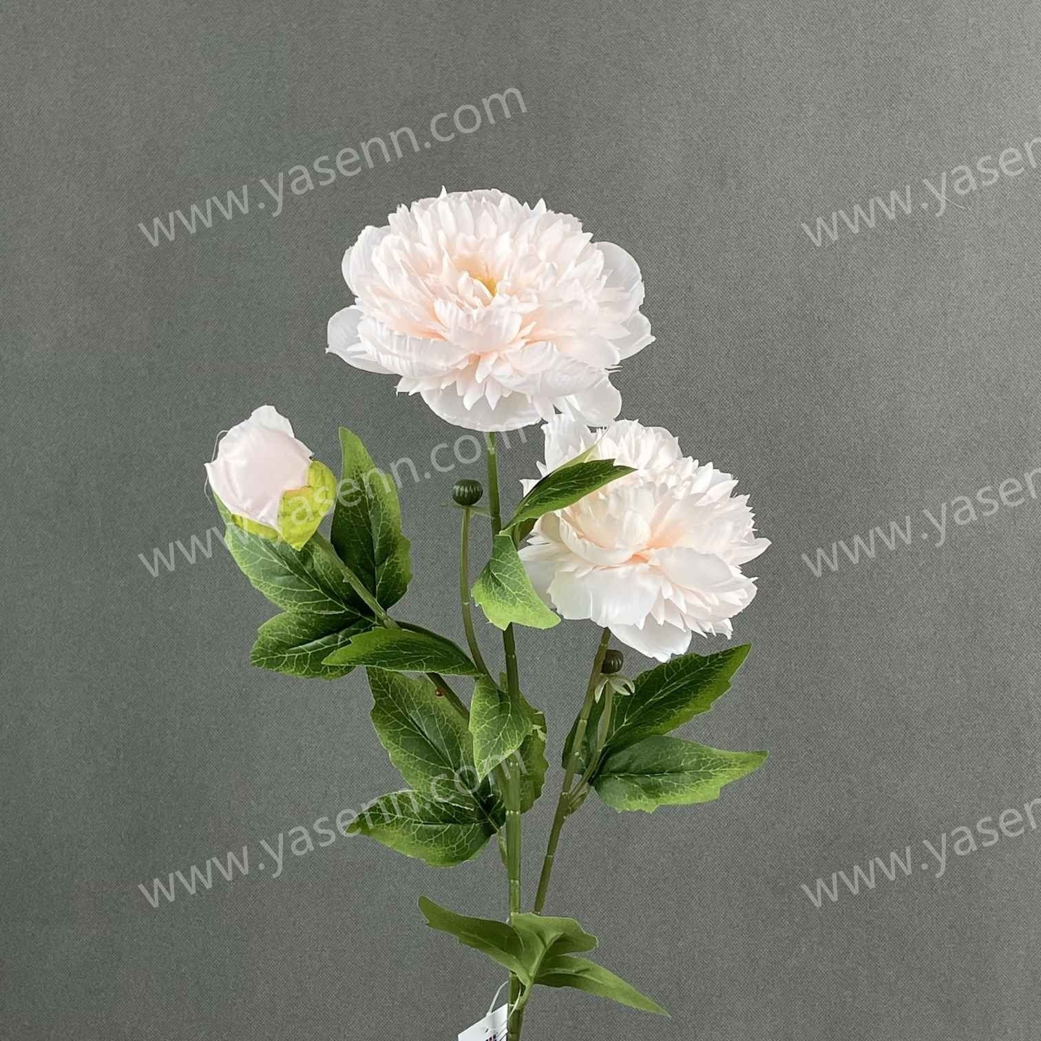 70CM PEONY YSS24092