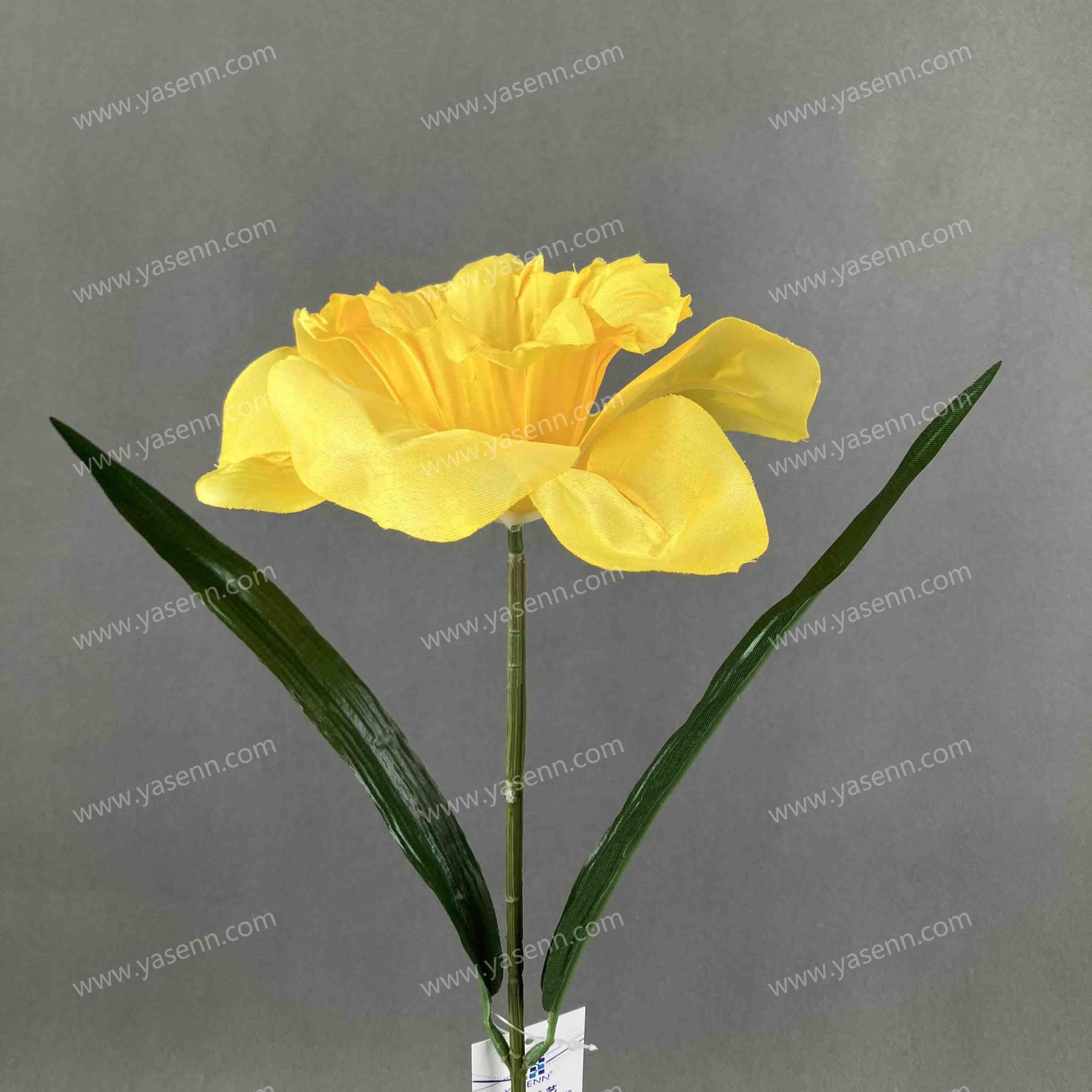 58CM SINGLE NARCISSUS YSF17189