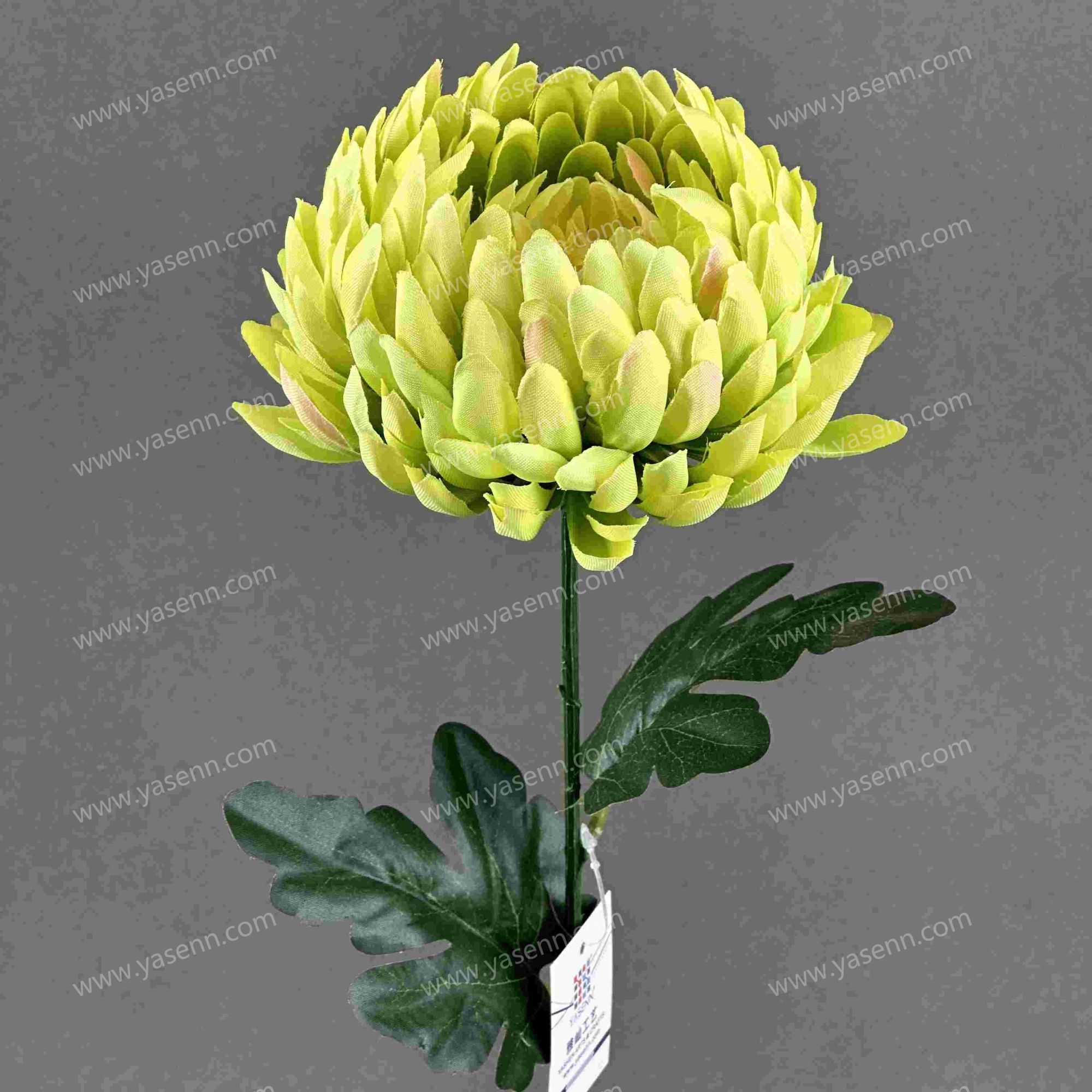 62CM CHRYSANTHEMUM YSS24002