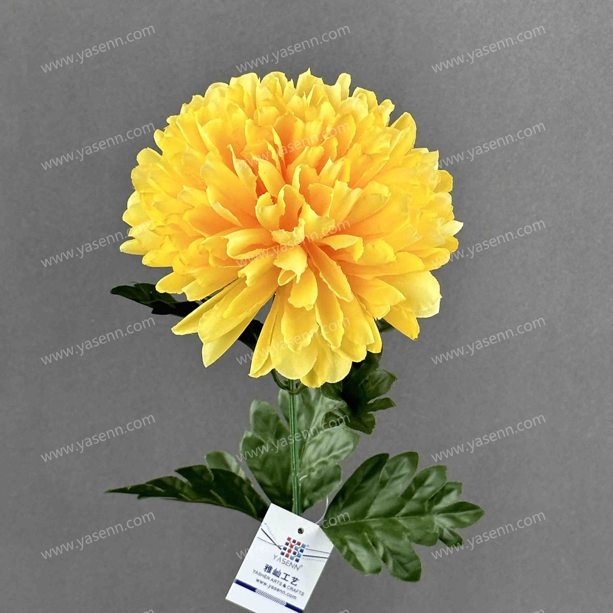 73CM MUM YSF19037