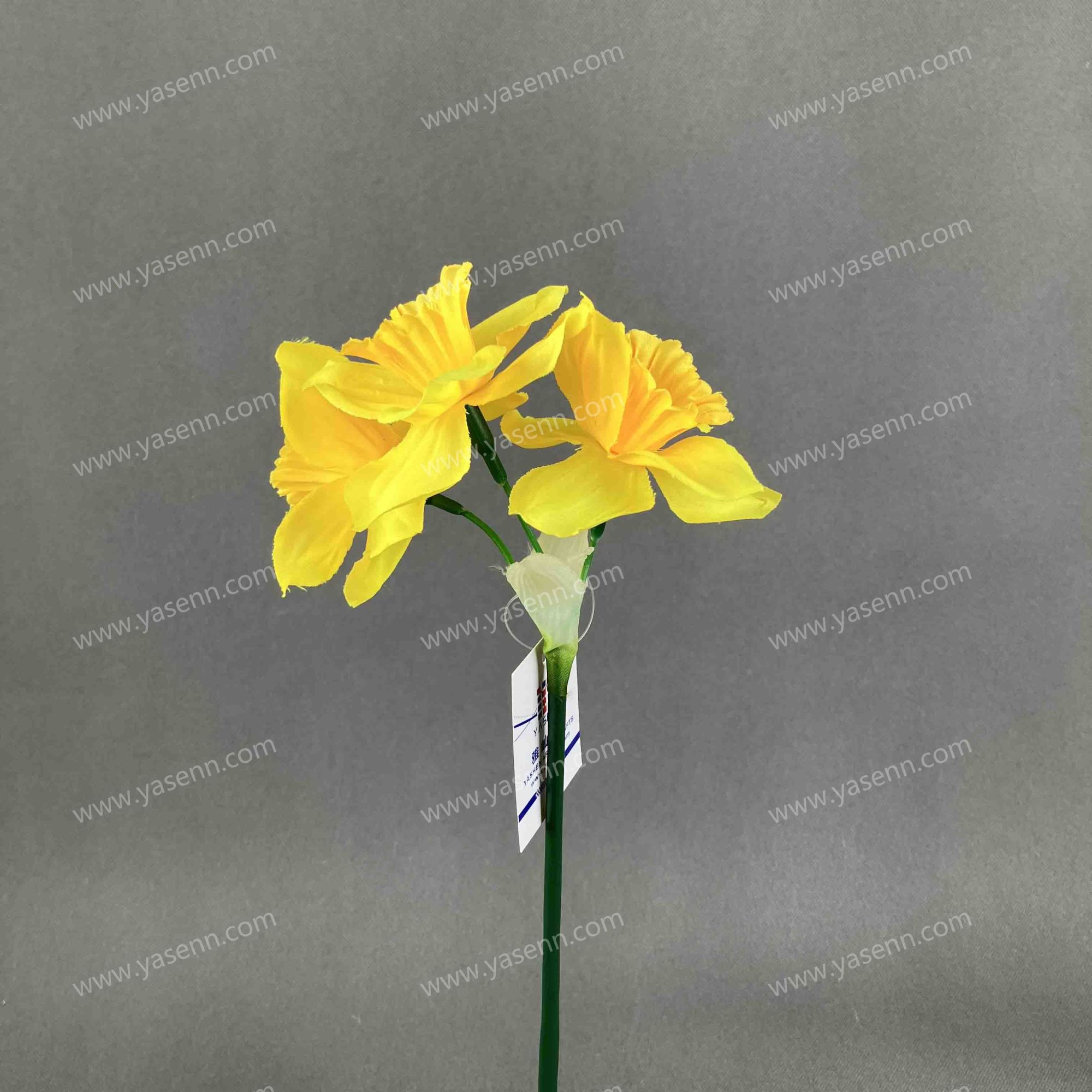 40CM SINGLE NARCISSUS YSF19050