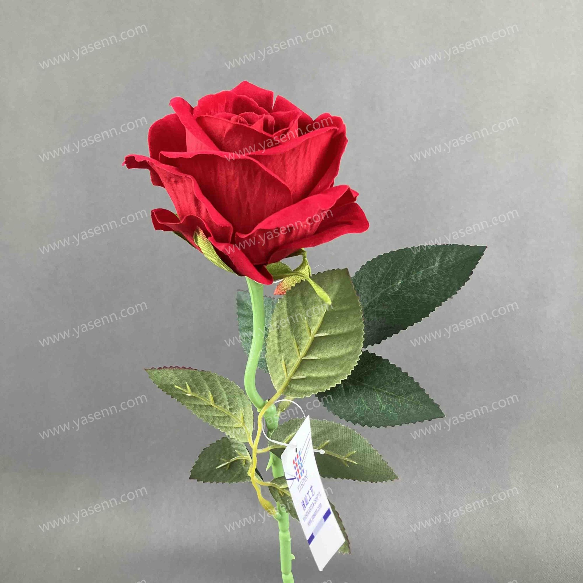 50CM SINGLE ROSE YSS23798