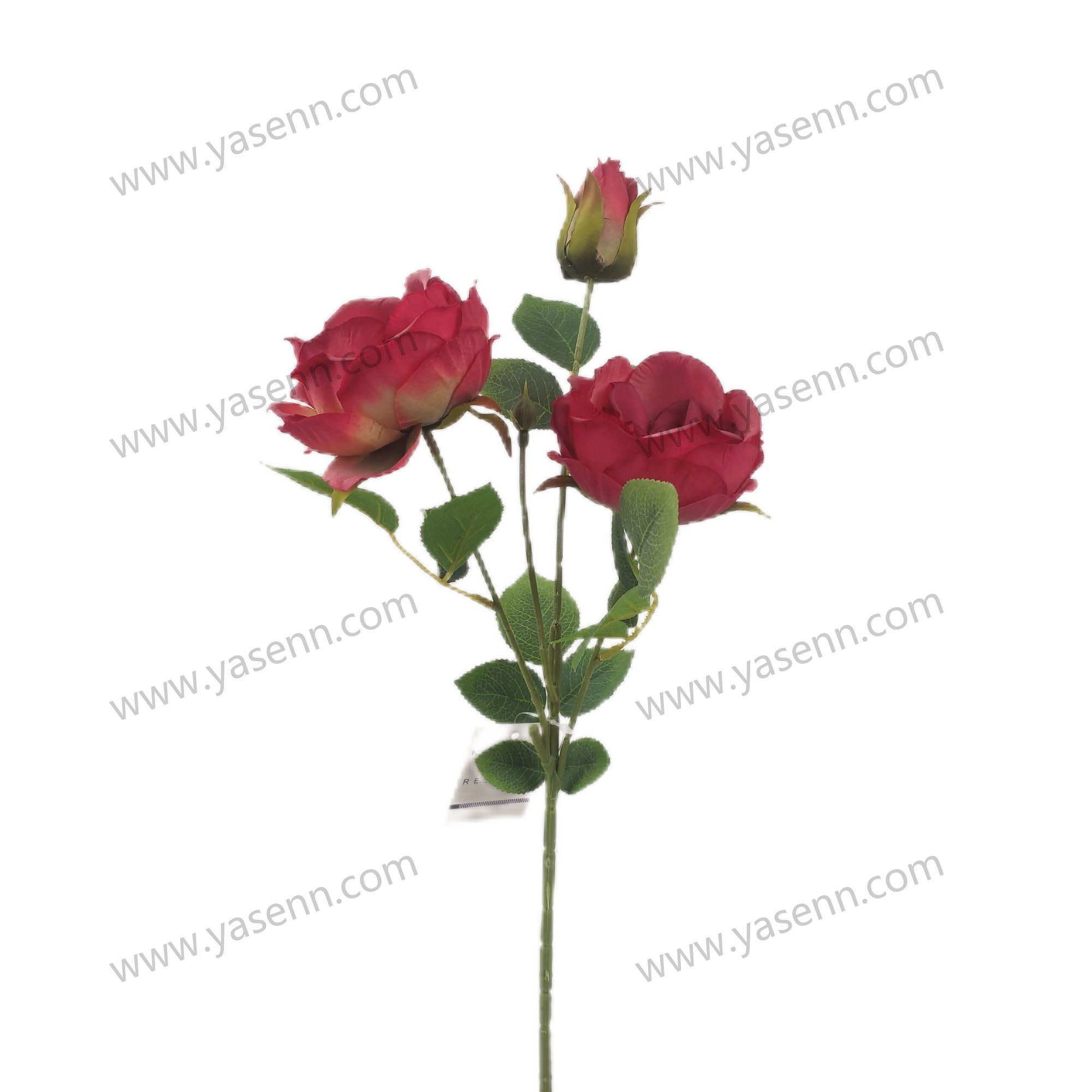 56.5CM 3 ROSE YSS23722