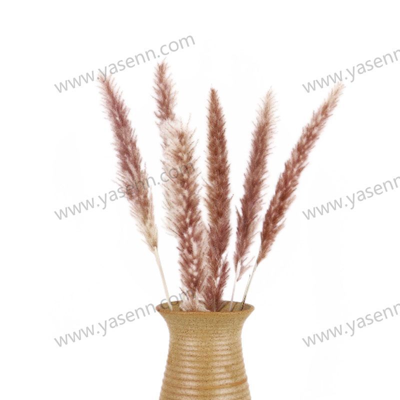 80CM SINGLE BARNYARD GRASS YSZ23019