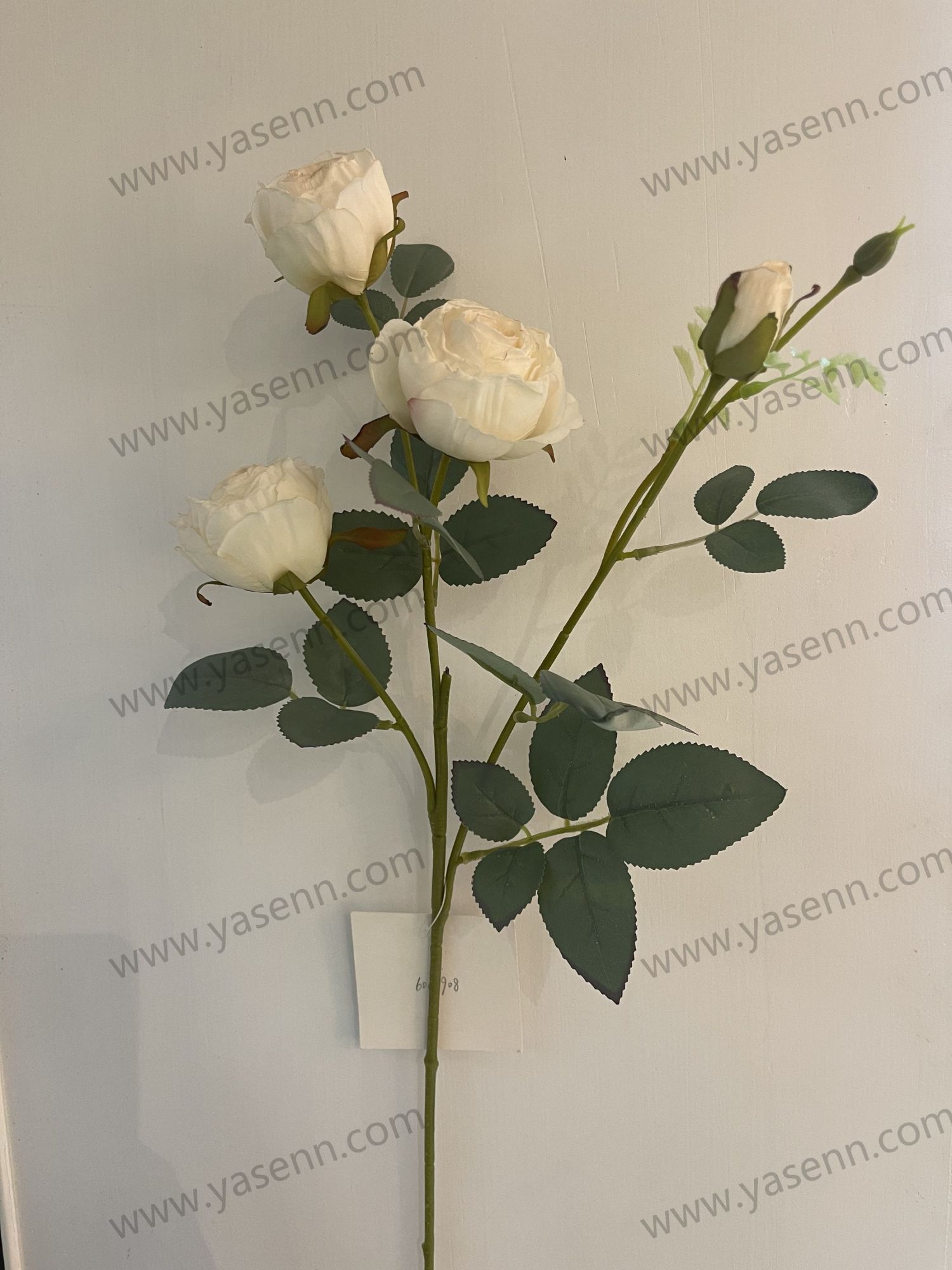 64CM ROSE YSS23437