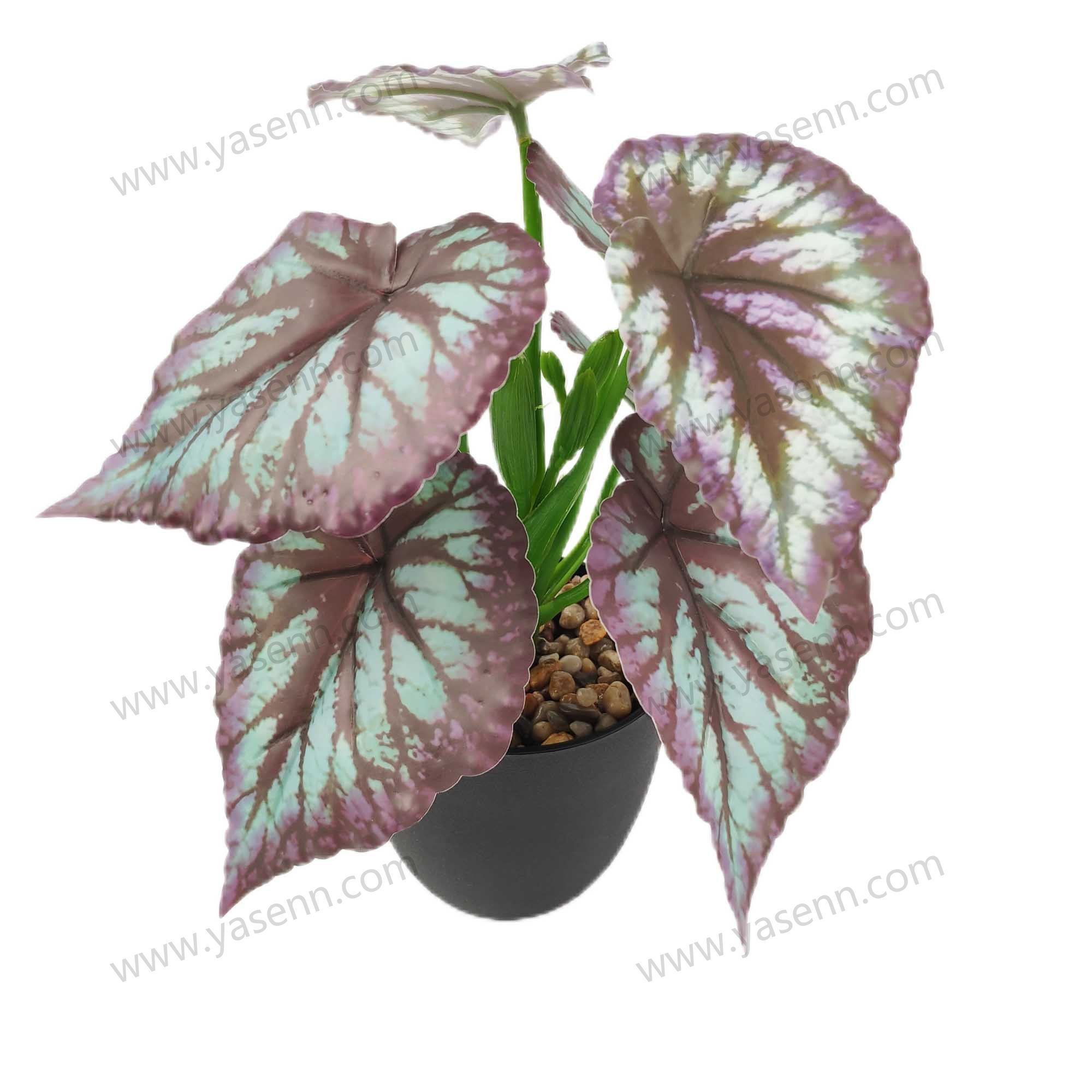 HEIGHT 25CM LONG 25CM WIDE 20CM  8PCS LEAVES YSM23179