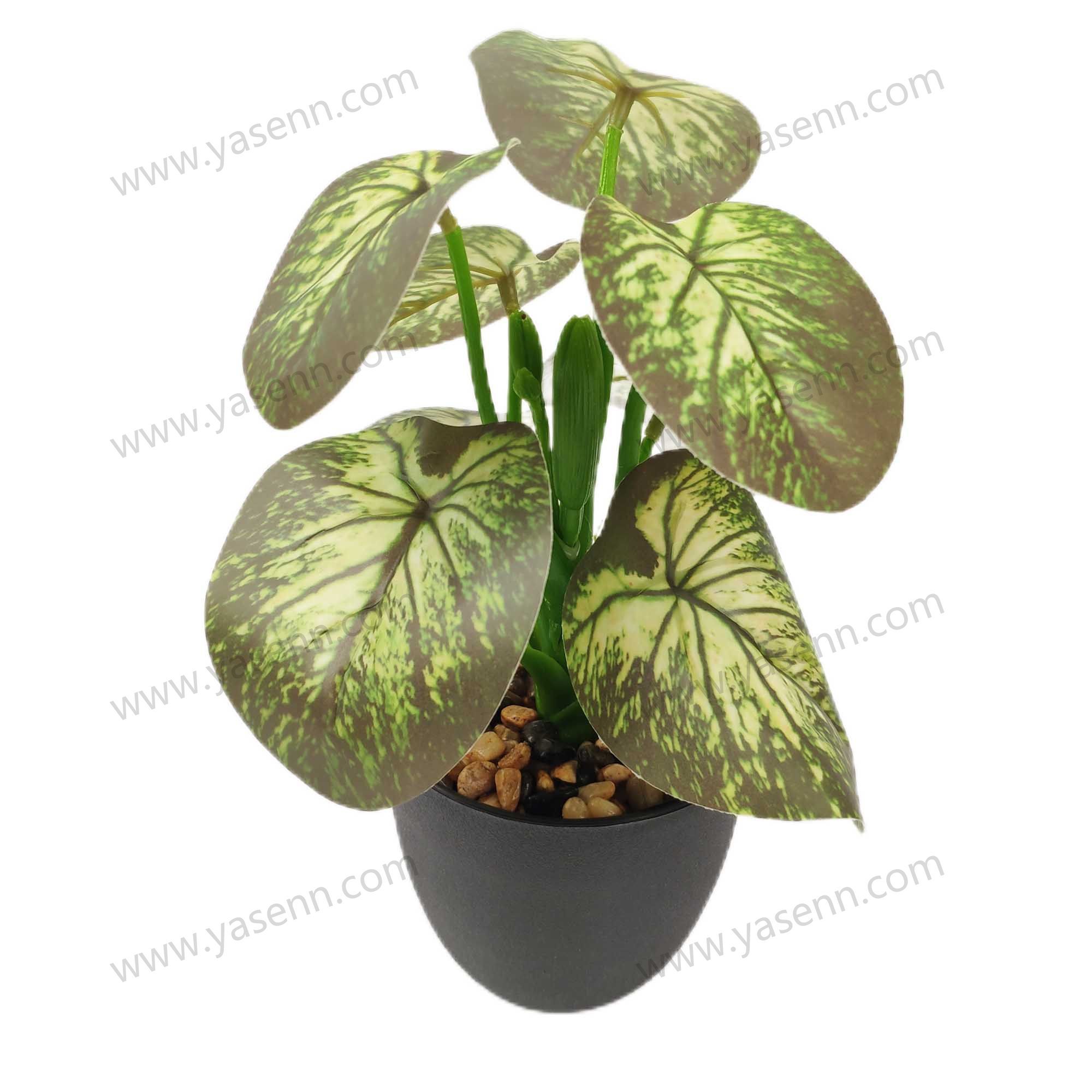 HEIGHT 24CM   LONG 19CM WIDE 19CM  8PCS LEAVES YSM23180