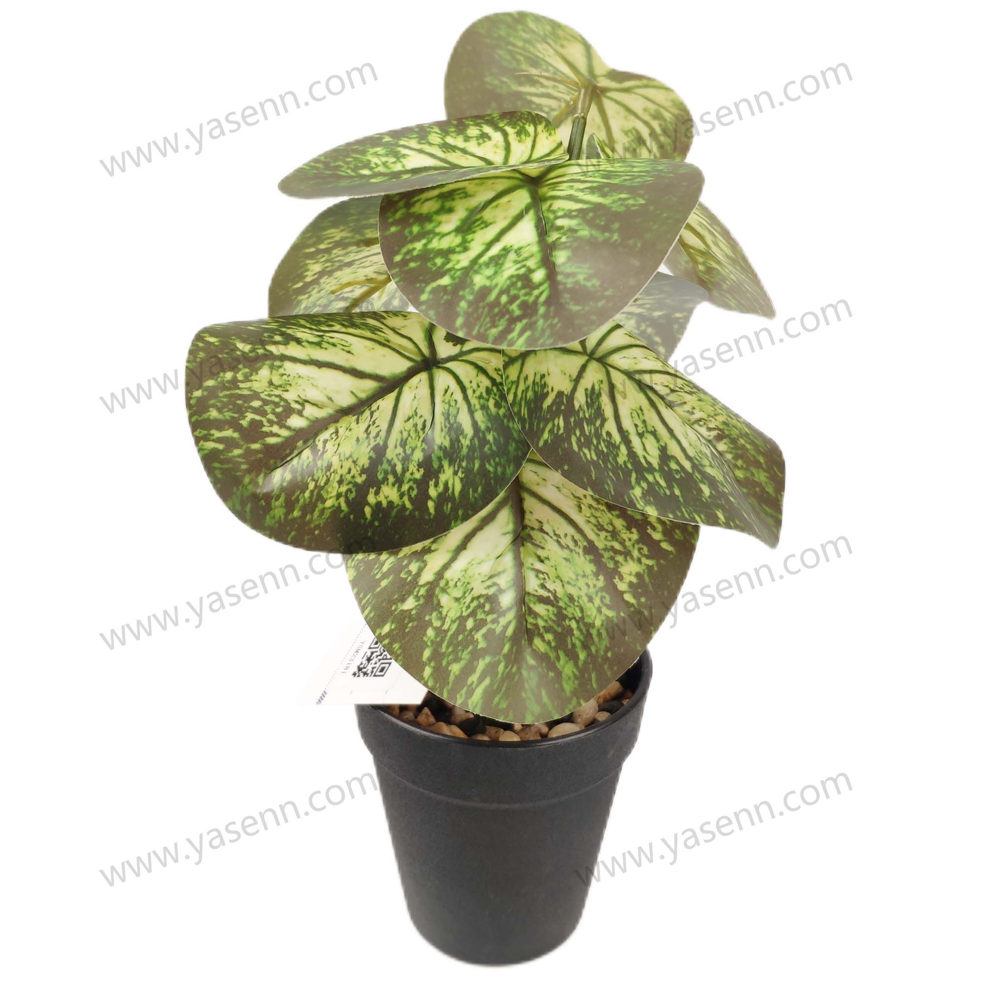 HEIGHT 27CM  LONG 19CM WIDE 18CM  9PCS LEAVES  YSM23181