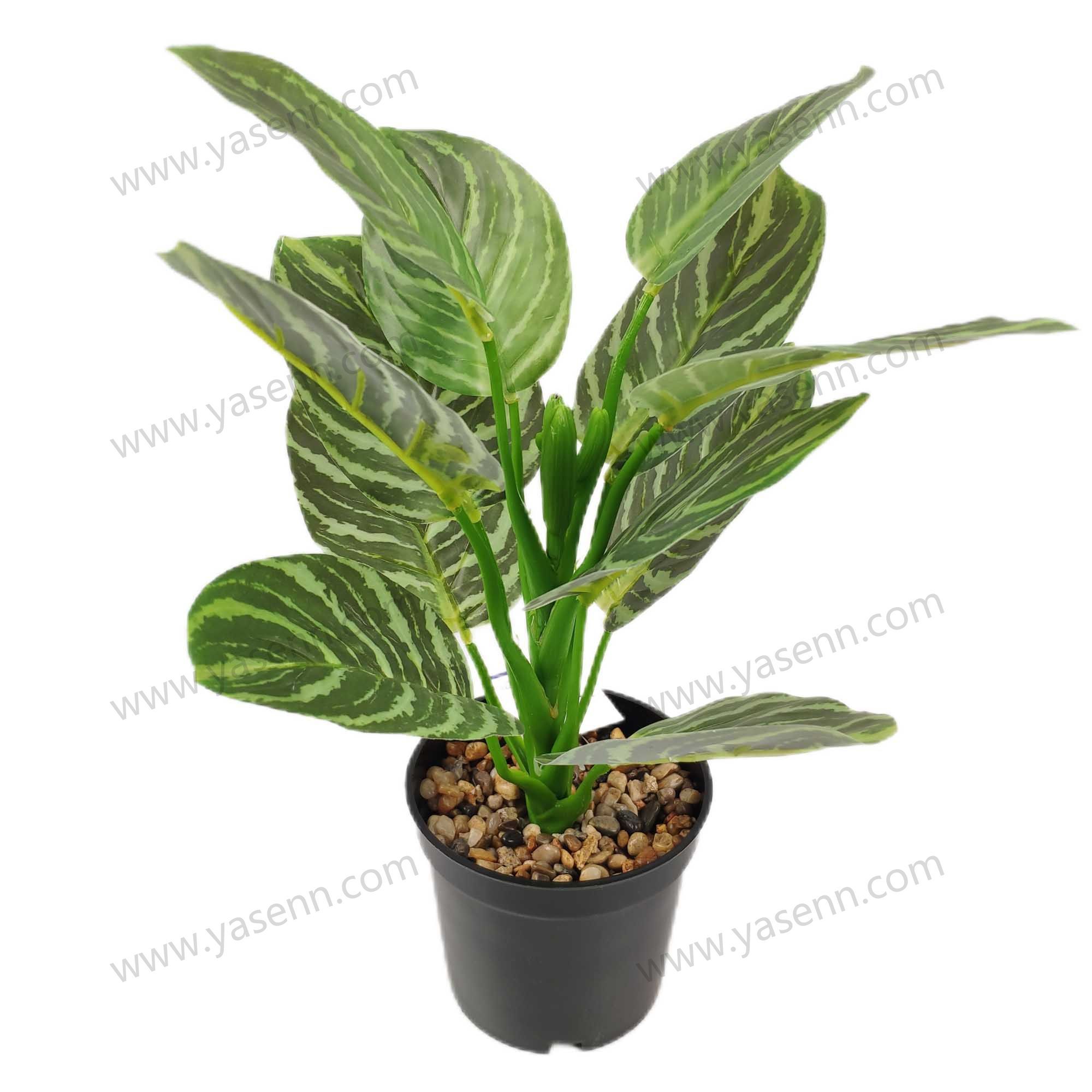 HEIGHT 37CM LONG 26CM WIDE 24CM  12PCS LEAVES YSM23189