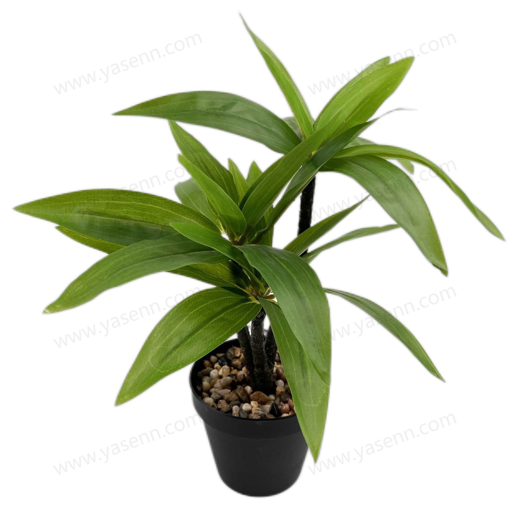 HEIGHT 33CM 27 LEAVES YSM23014