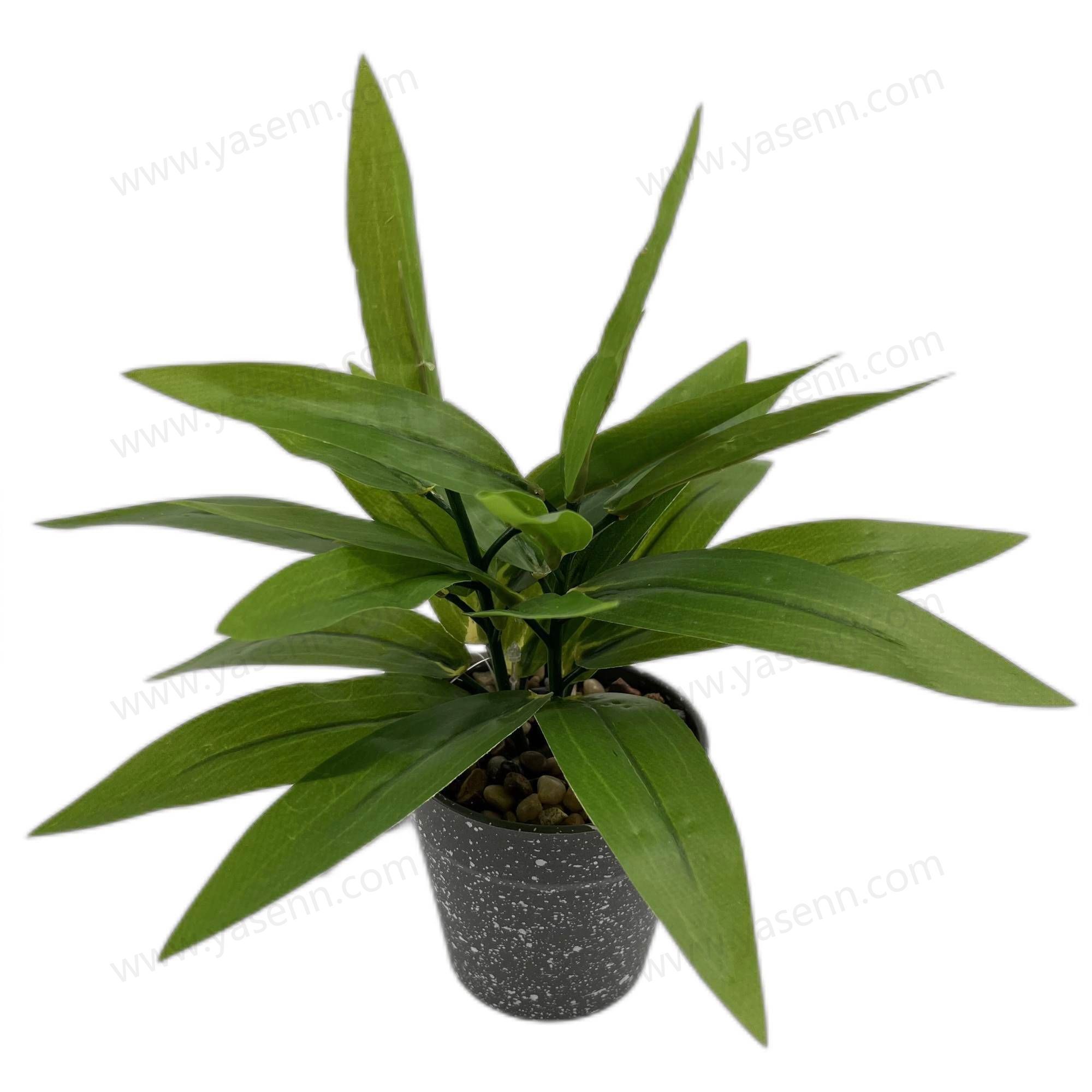 HEIGHT 24CM 24 LEAVES YSM23032