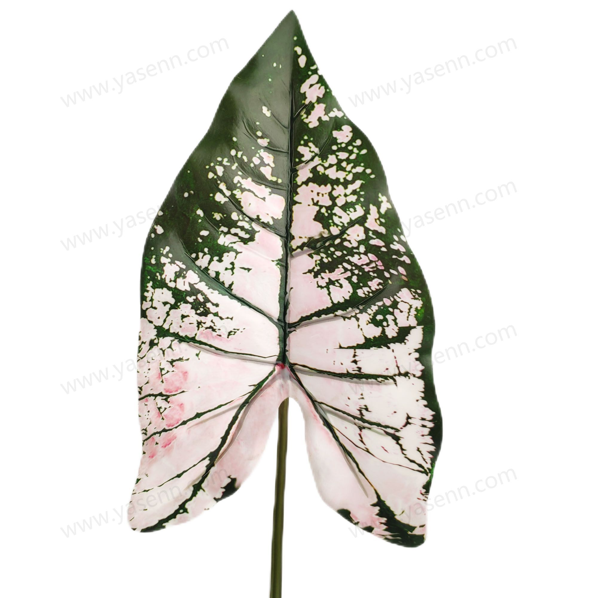 YSL23307 HIGHT 88CM CALADIUM  Simulate leaves