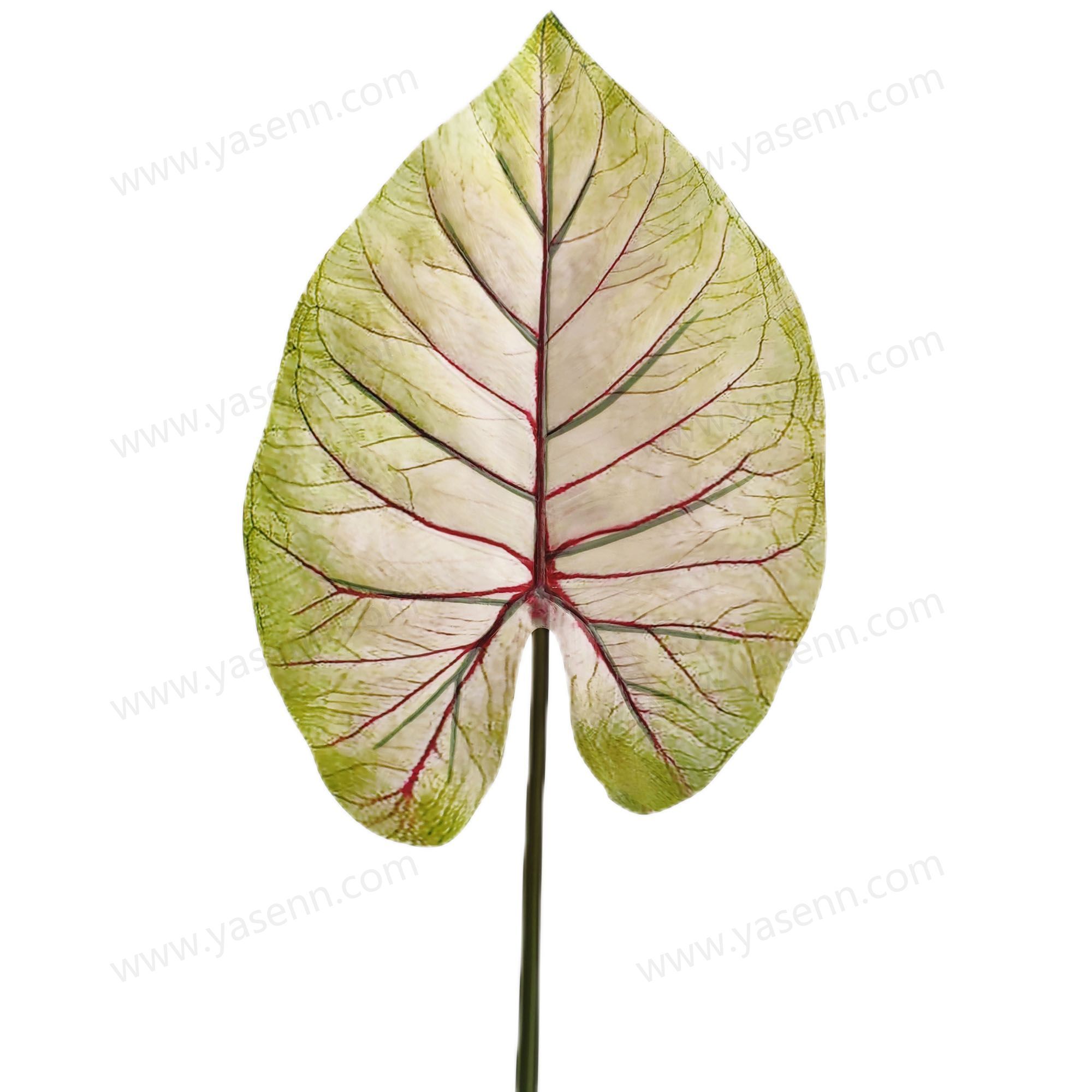 YSL23309 HIGHT 89CM CALADIUM  Simulate leaves