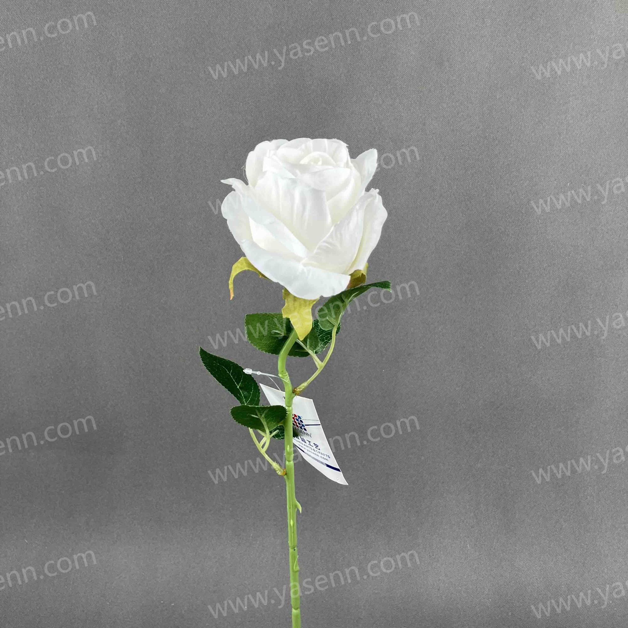 51CM SINGLE ROSE YSZ221169