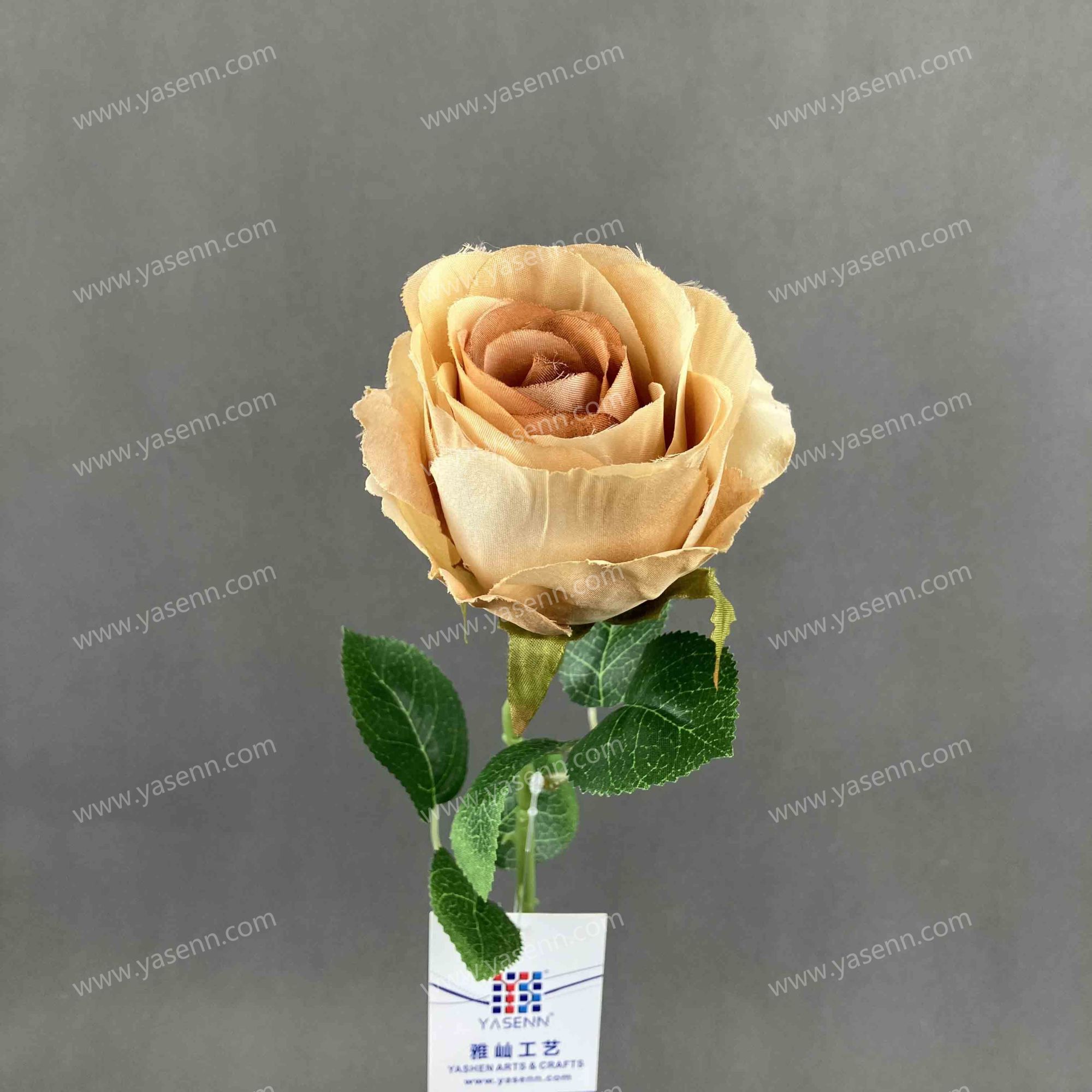 51CM SINGLE ROSE YSZ221162