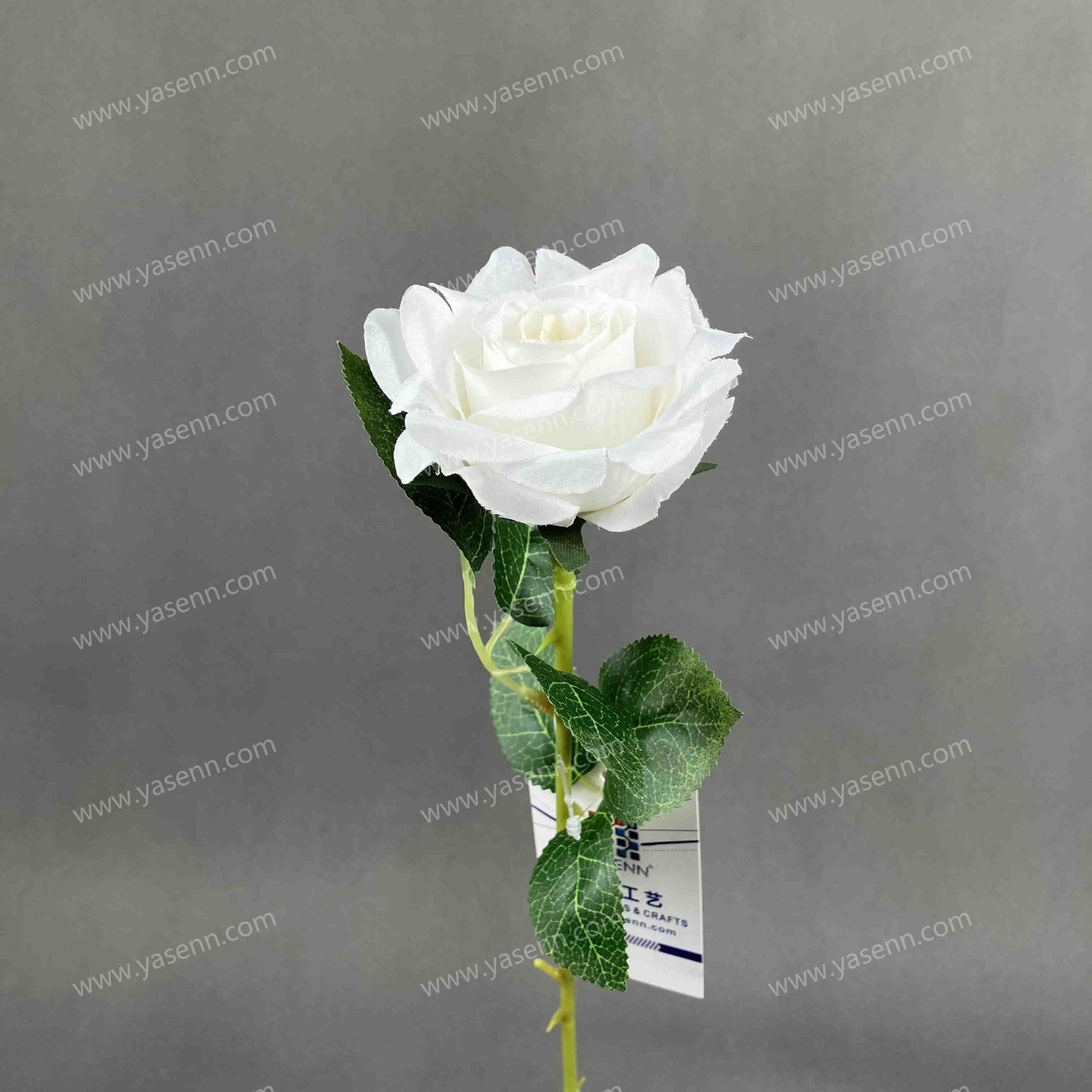 50CM SINGLE ROSE YSZ221160