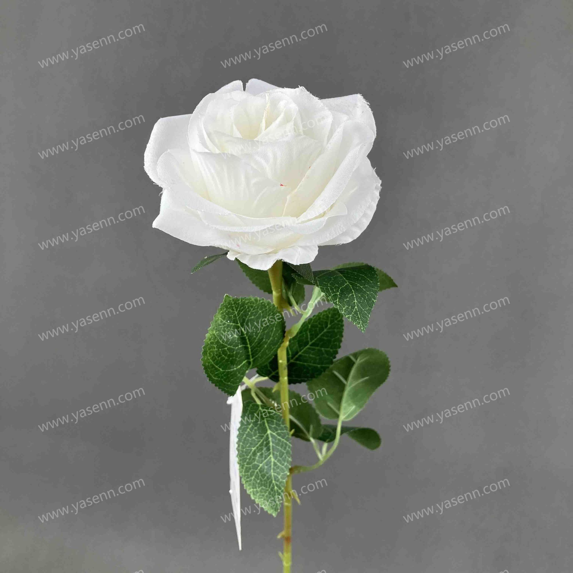 62.5CM SINGLE ROSE YSZ221159