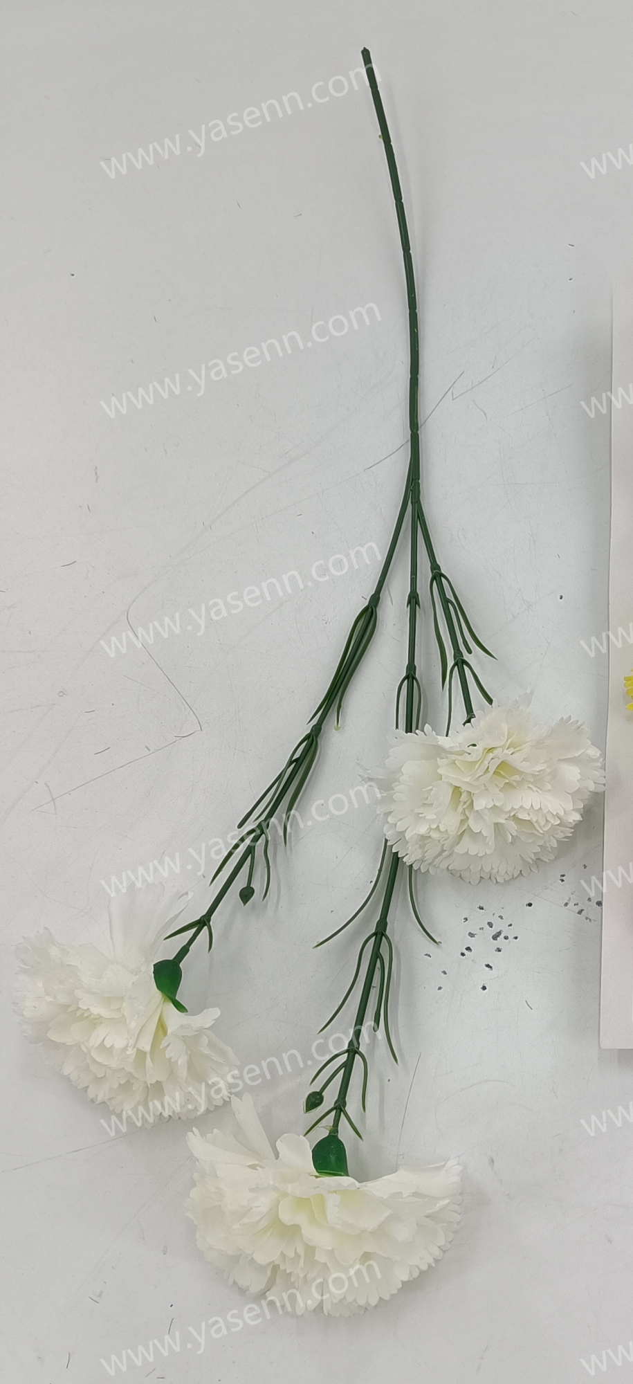 60CM SINGLE CARNATION YSZ221016