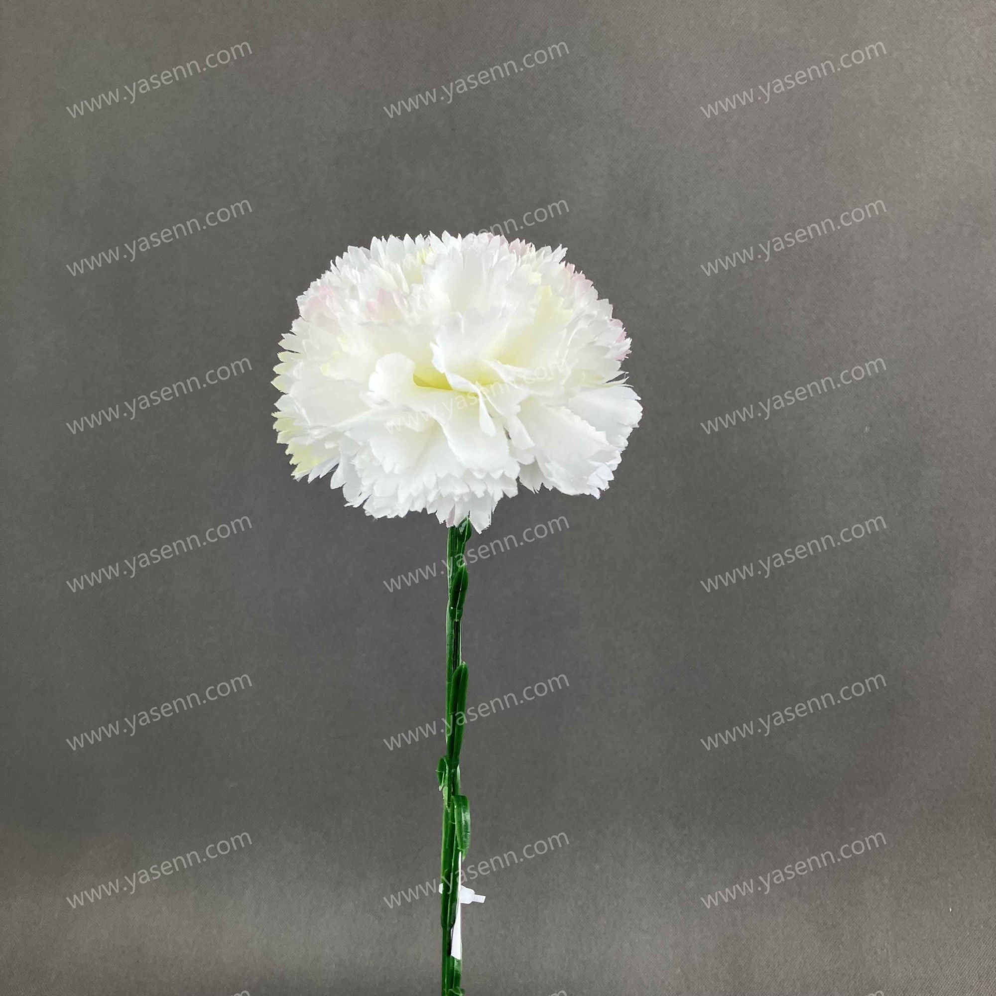 54CM SINGLE  CARNATION YSS23804